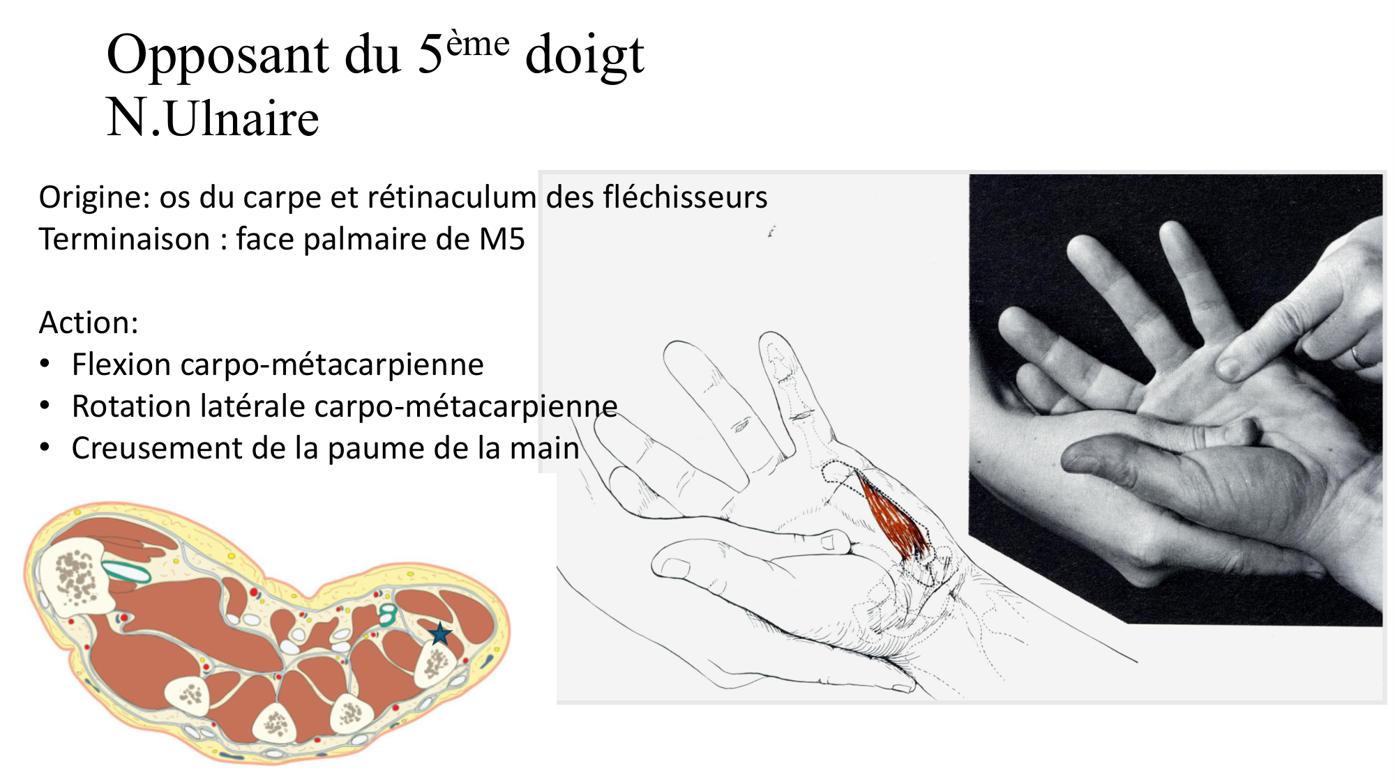 1BA main 2025-26 page 51