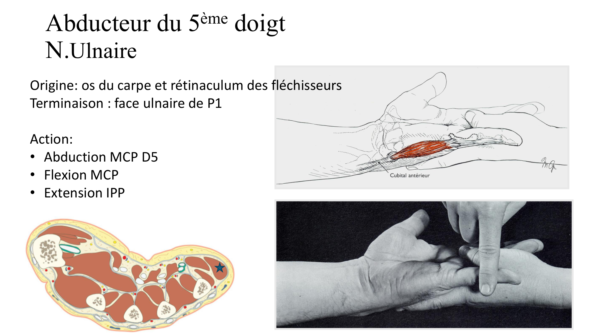 1BA main 2025-26 page 53