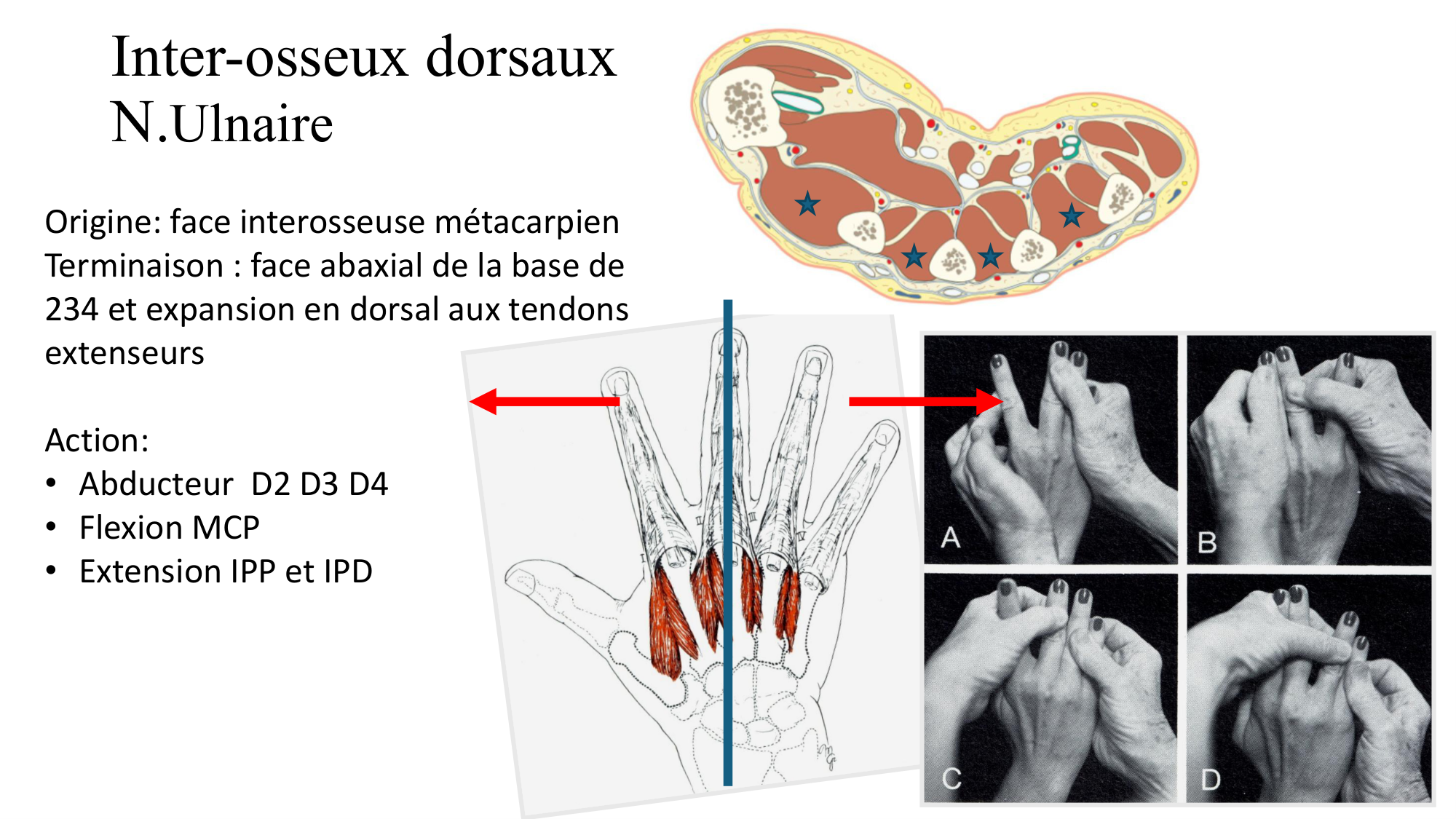 1BA main 2025-26 page 55