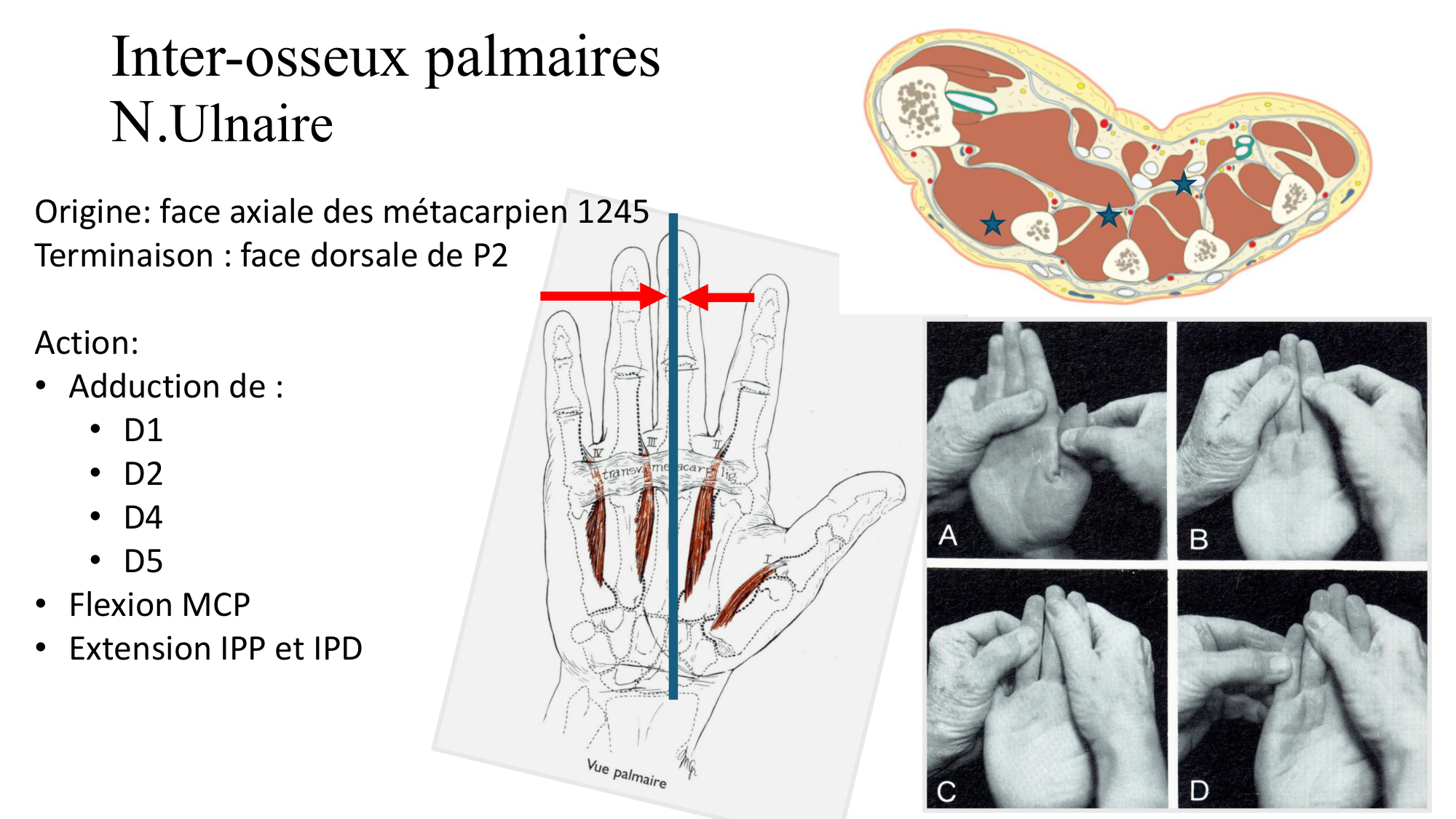 1BA main 2025-26 page 56