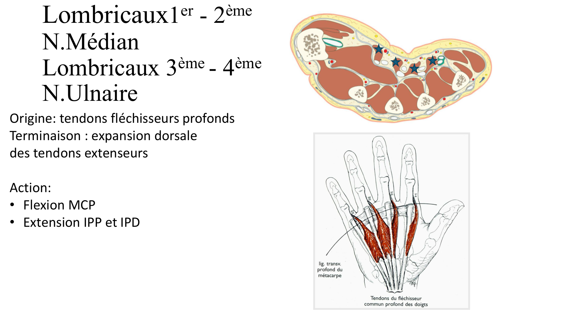 1BA main 2025-26 page 57