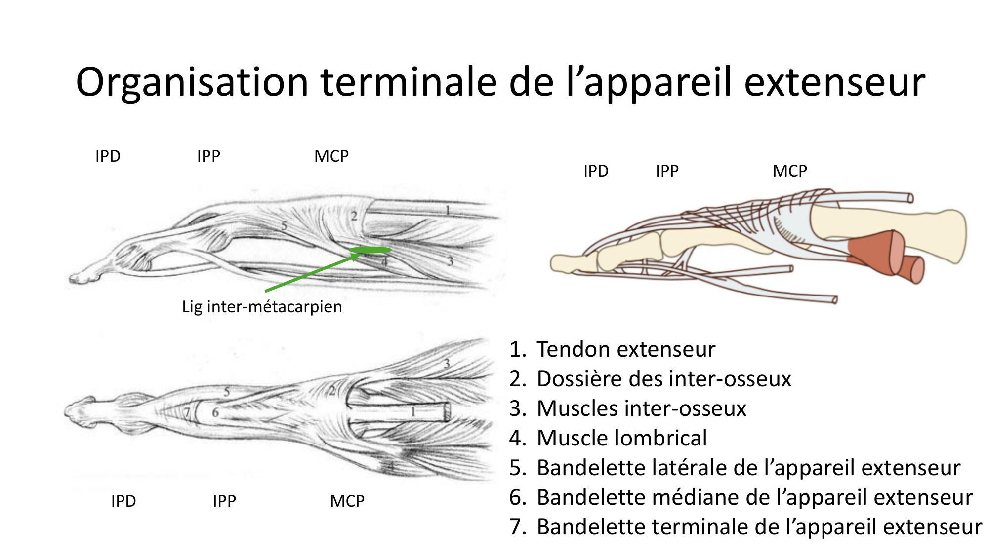 1BA main 2025-26 page 58