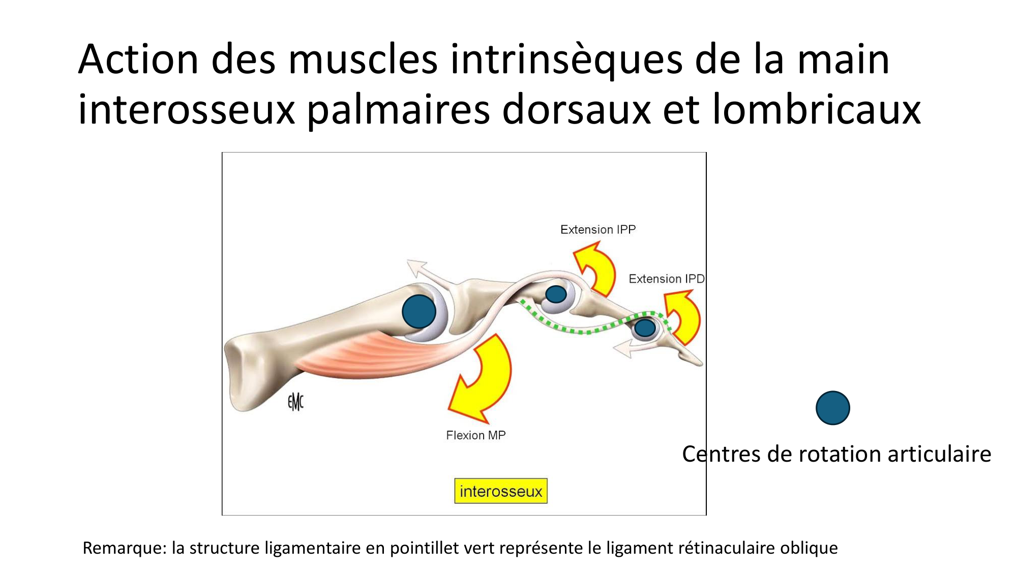 1BA main 2025-26 page 60
