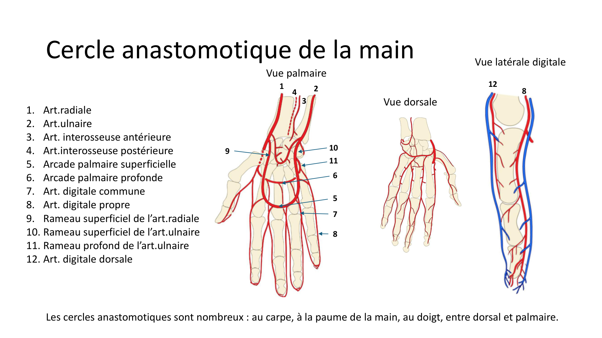 1BA main 2025-26 page 62
