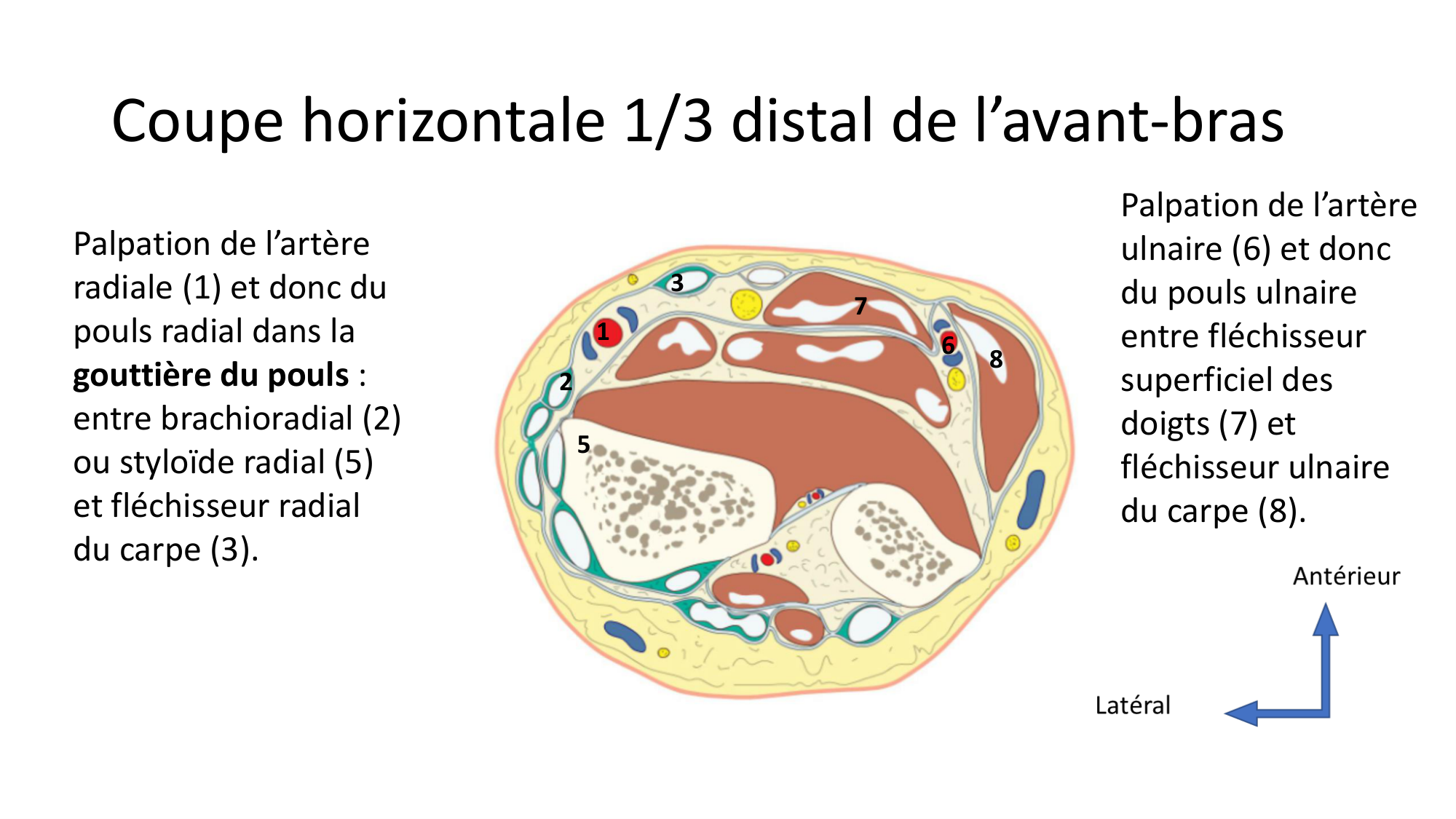 1BA main 2025-26 page 63