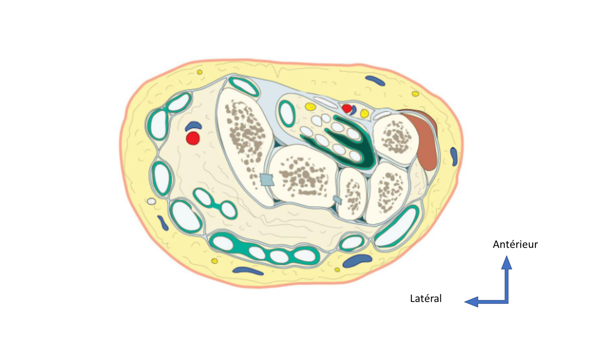 1BA main 2025-26 page 64