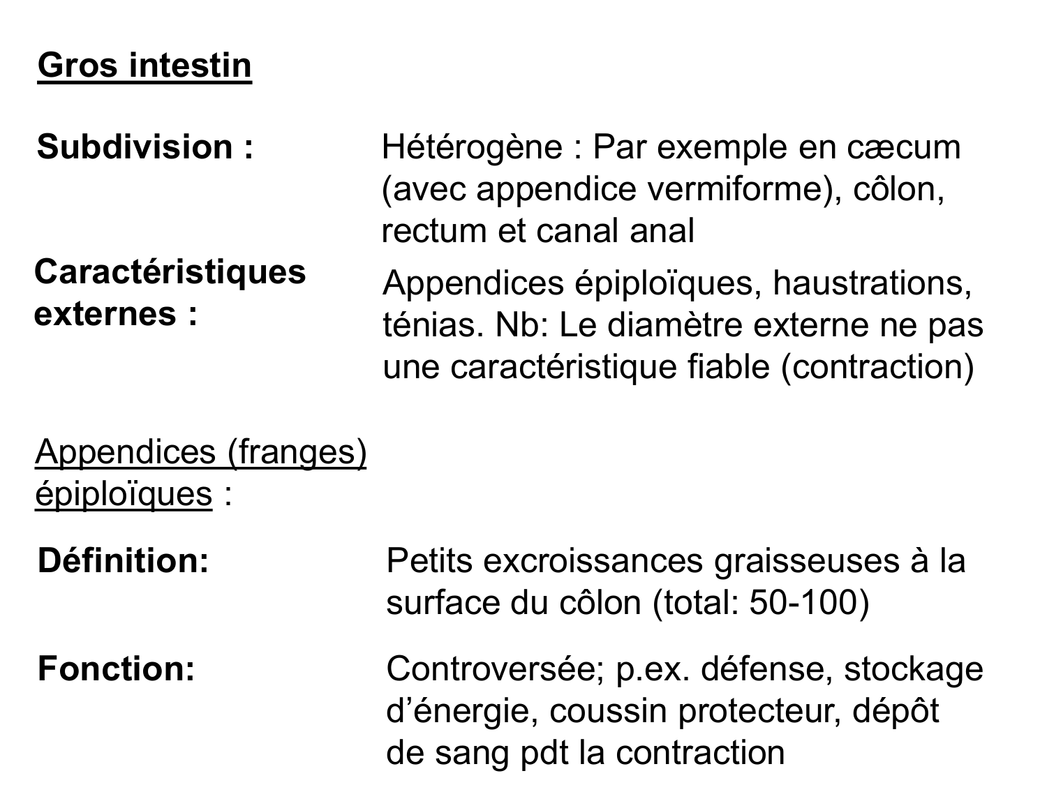 Abdomen gros intestin foie rate pancreas vascularisation page 5