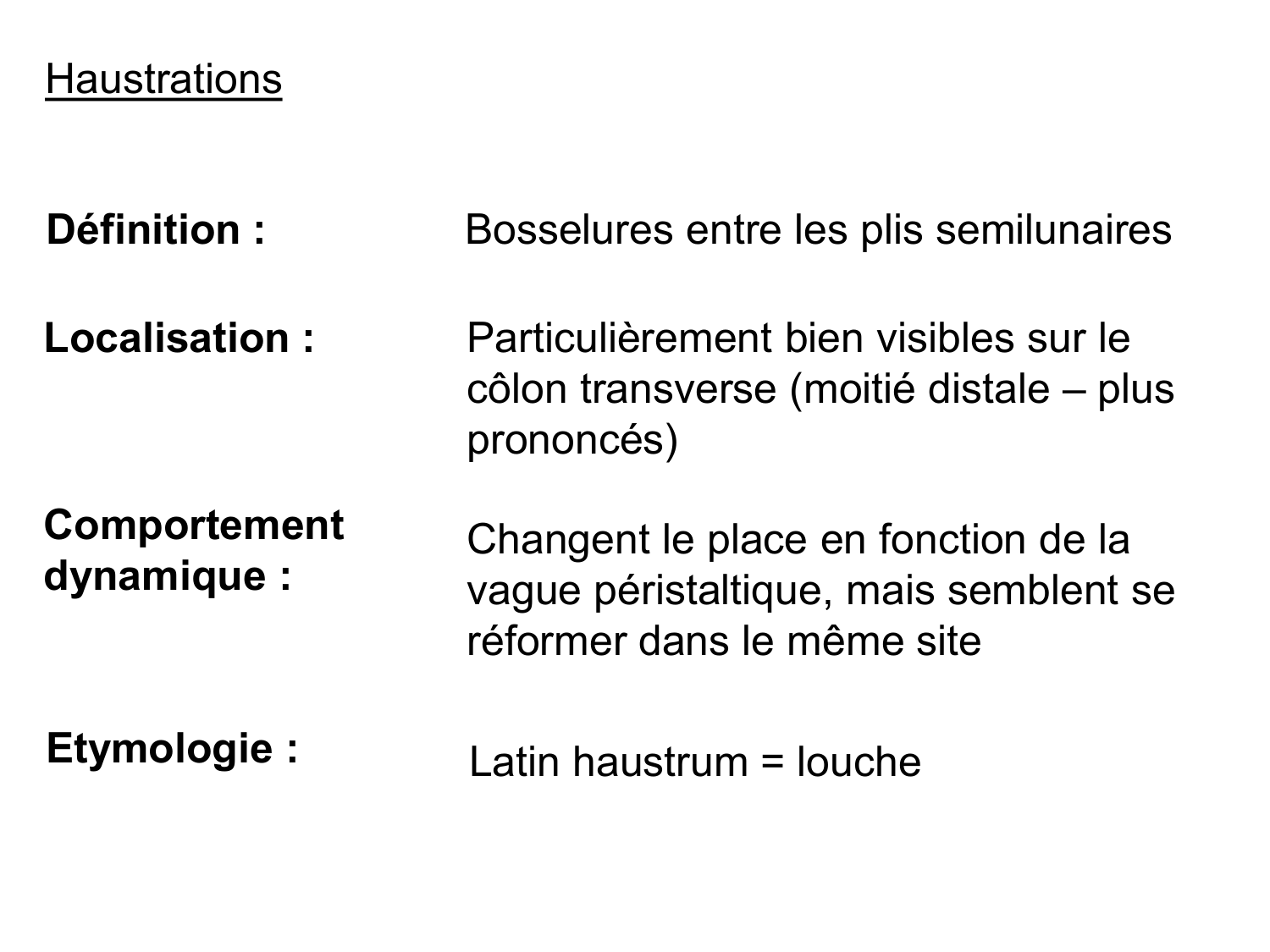 Abdomen gros intestin foie rate pancreas vascularisation page 7
