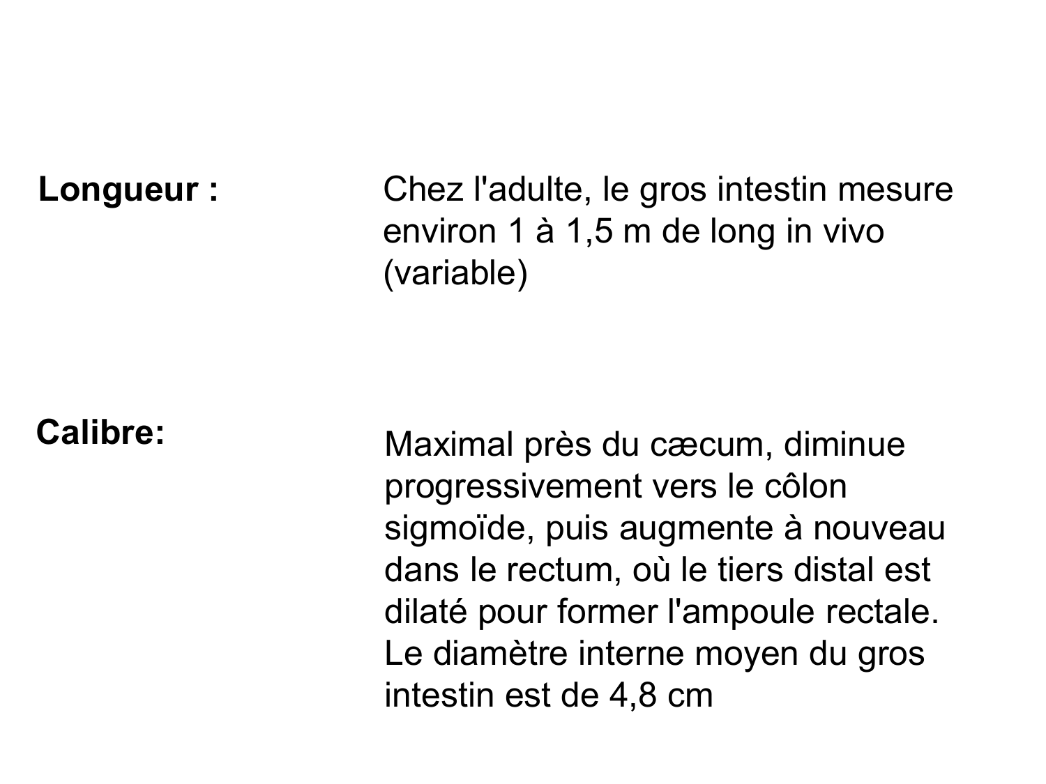 Abdomen gros intestin foie rate pancreas vascularisation page 10