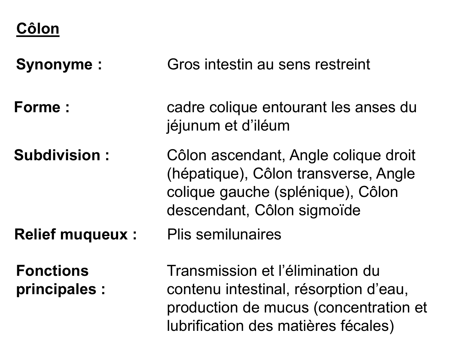 Abdomen gros intestin foie rate pancreas vascularisation page 11