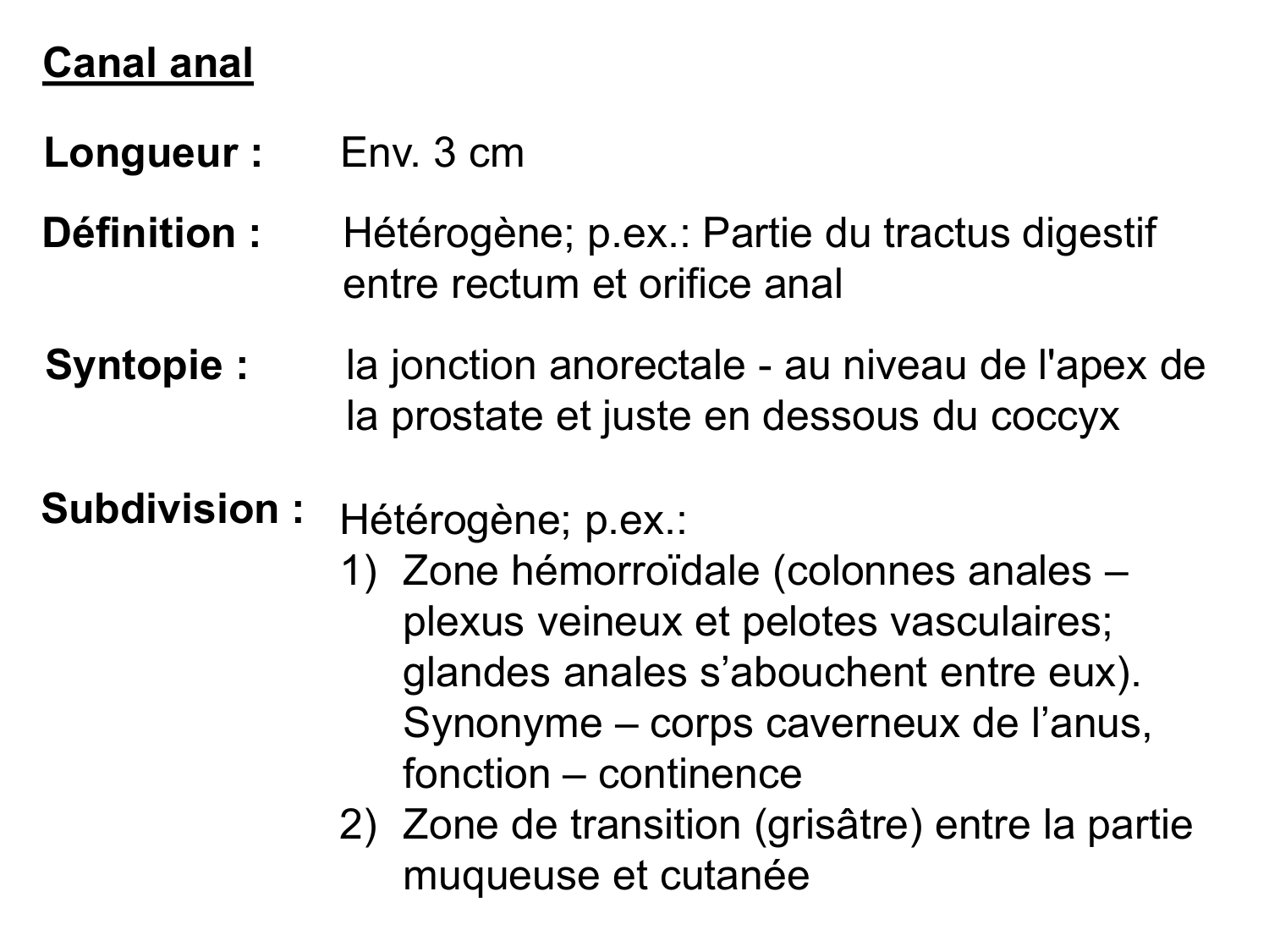 Abdomen gros intestin foie rate pancreas vascularisation page 27