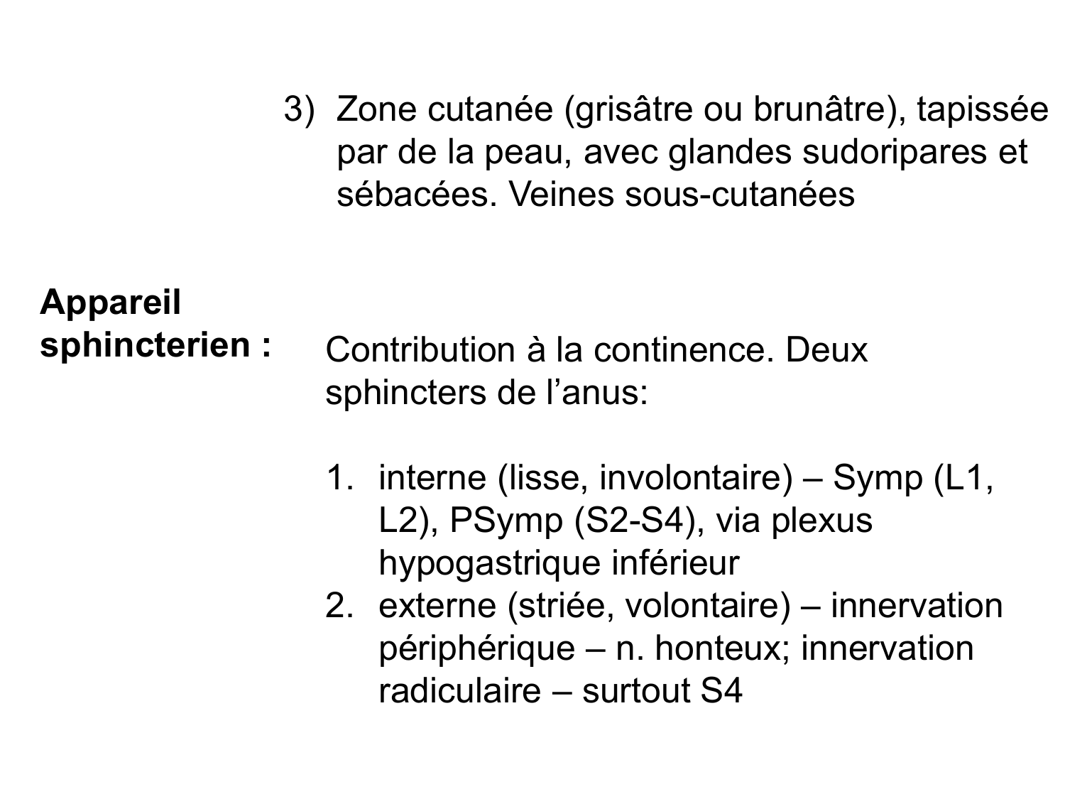 Abdomen gros intestin foie rate pancreas vascularisation page 28