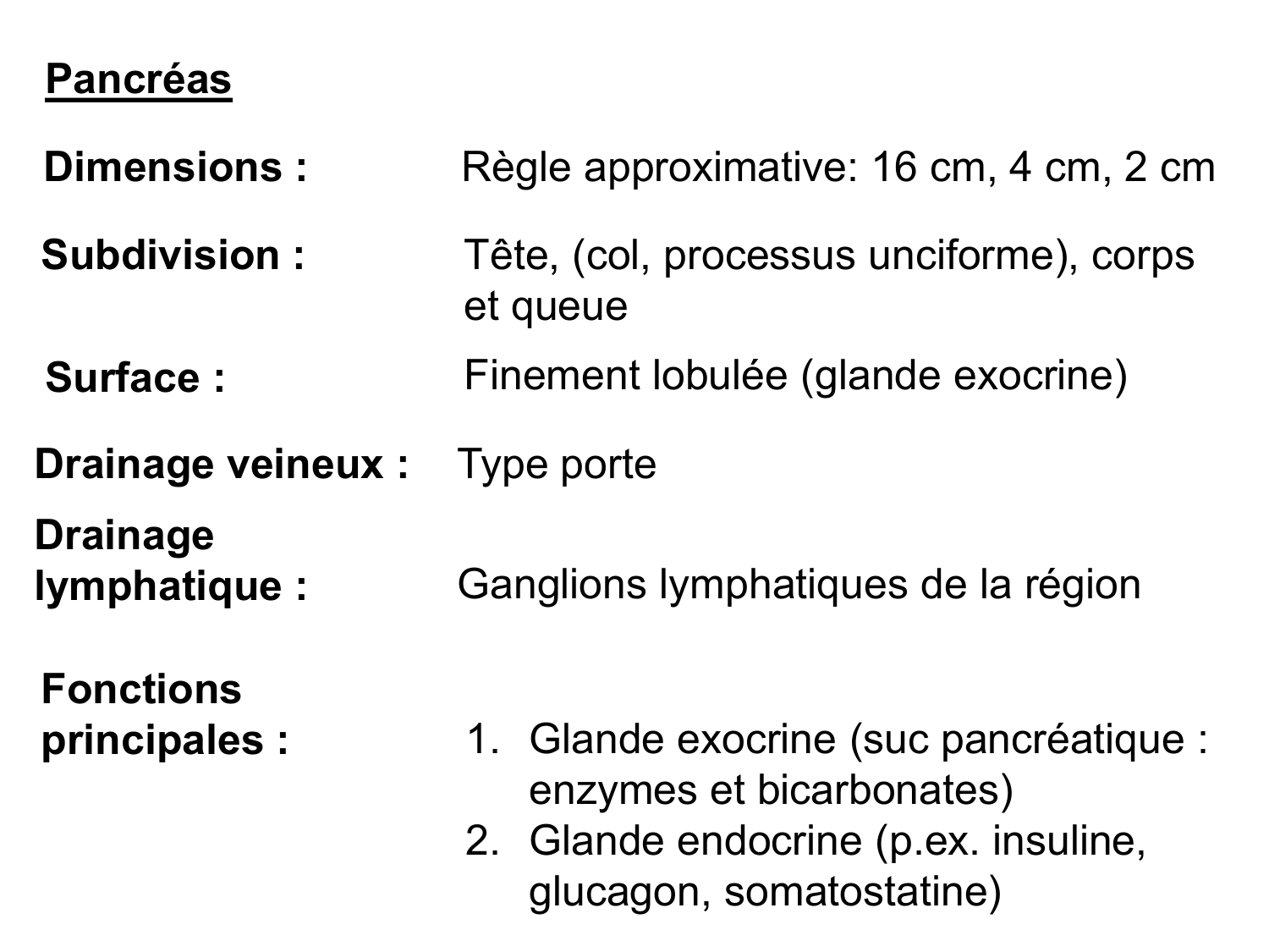 Abdomen gros intestin foie rate pancreas vascularisation page 56