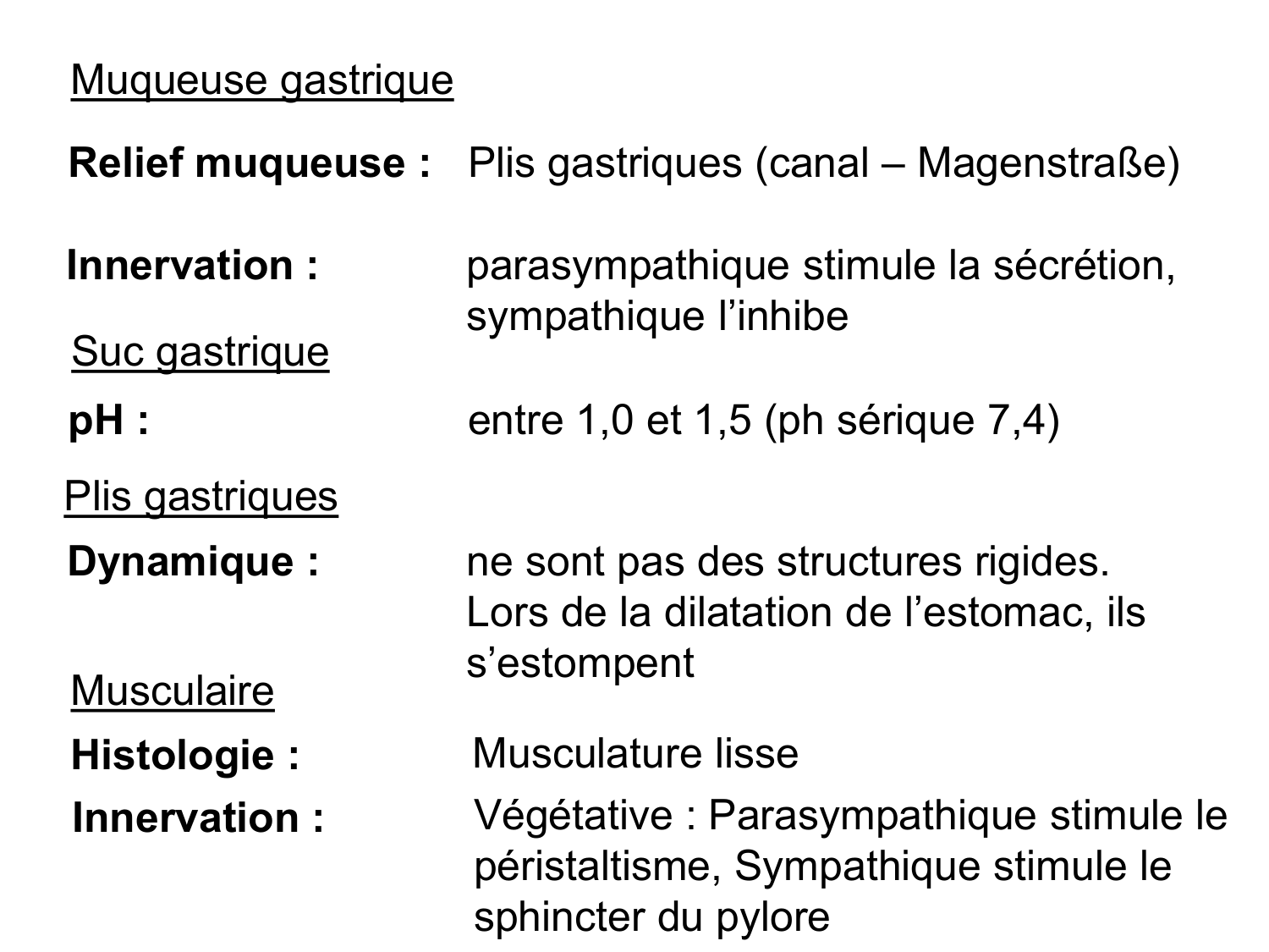 Abdomen paroi cavité tube digestif estomac et intestin grêle page 33