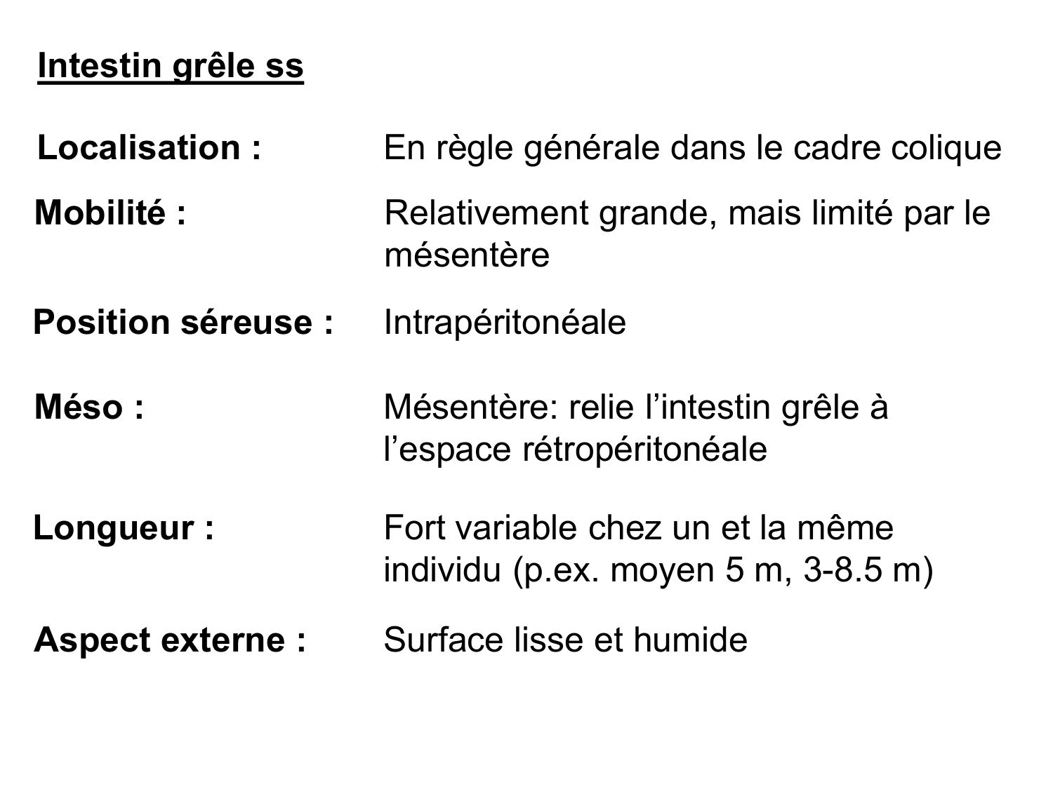 Abdomen paroi cavité tube digestif estomac et intestin grêle page 42