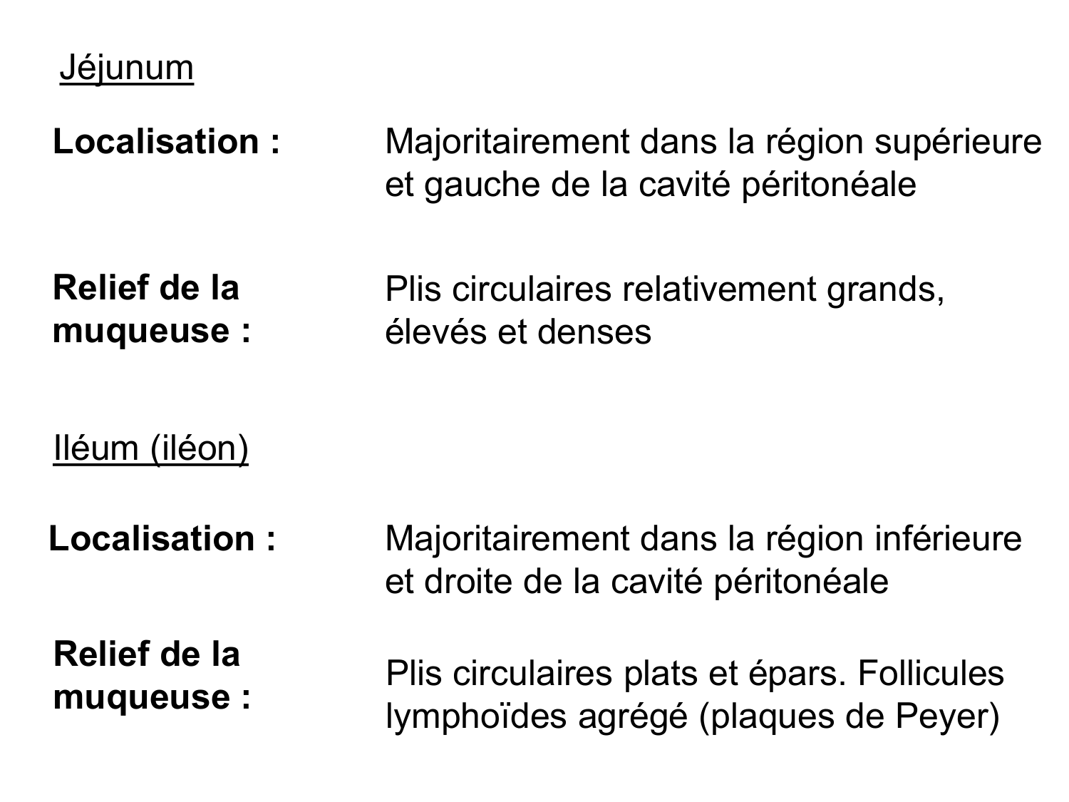 Abdomen paroi cavité tube digestif estomac et intestin grêle page 45