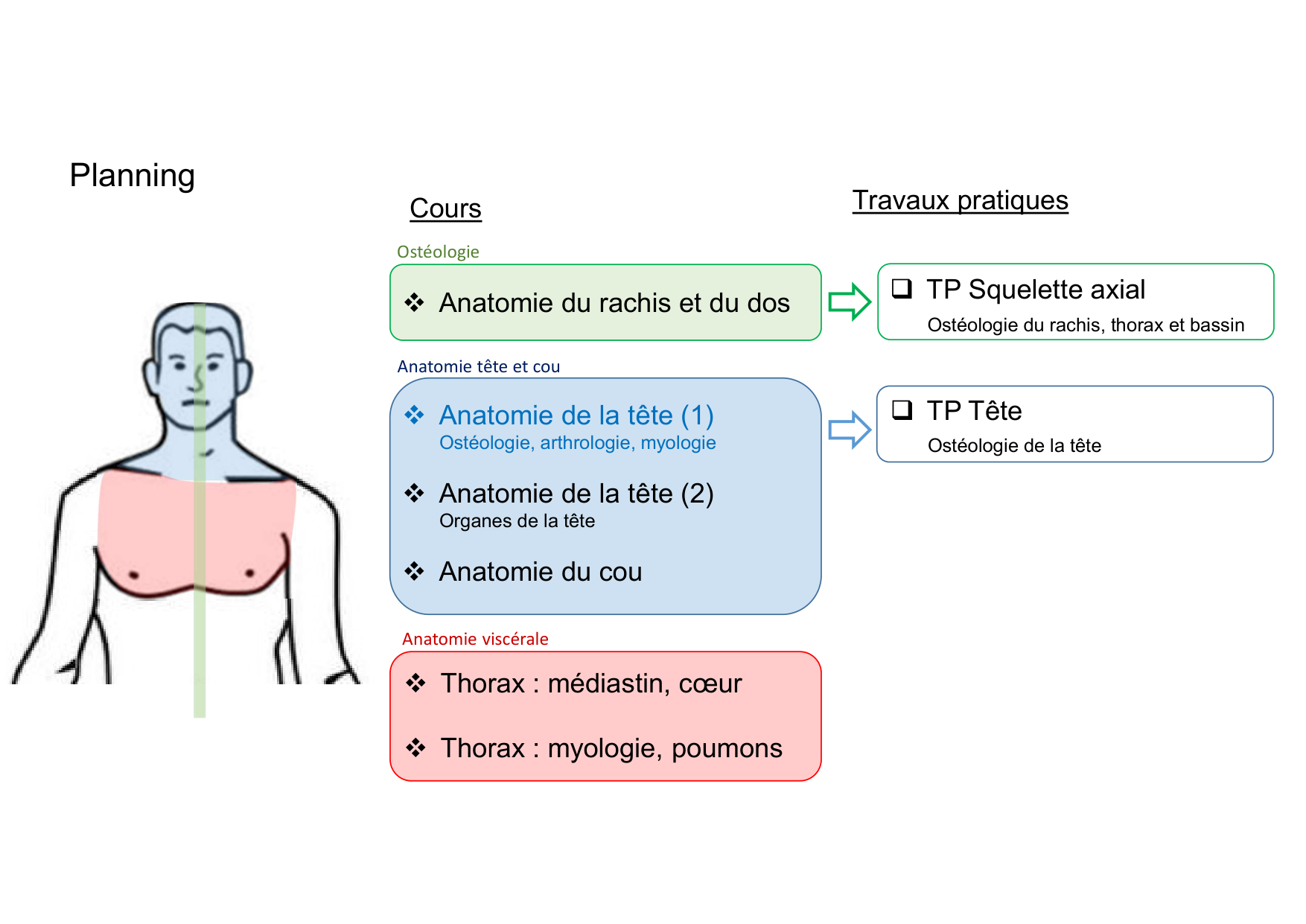 Anatomie de la tete 1 2025 2026 page 2
