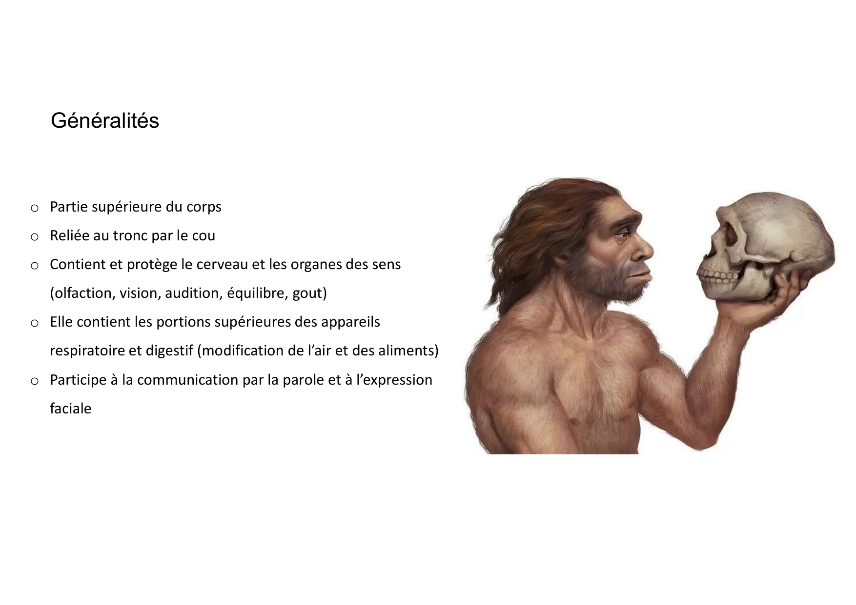 Anatomie de la tete 1 2025 2026 page 5