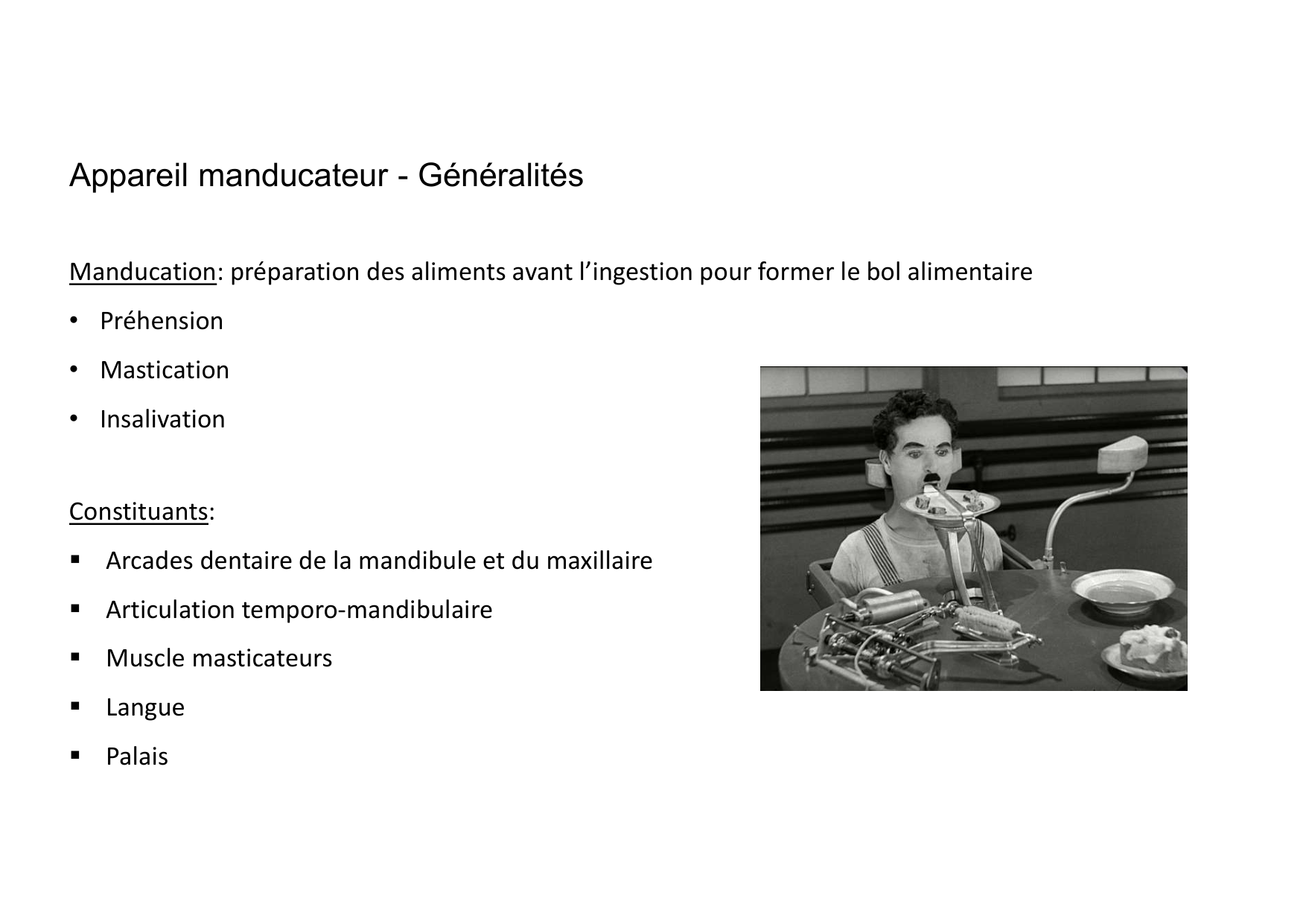 Anatomie de la tete 1 2025 2026 page 46