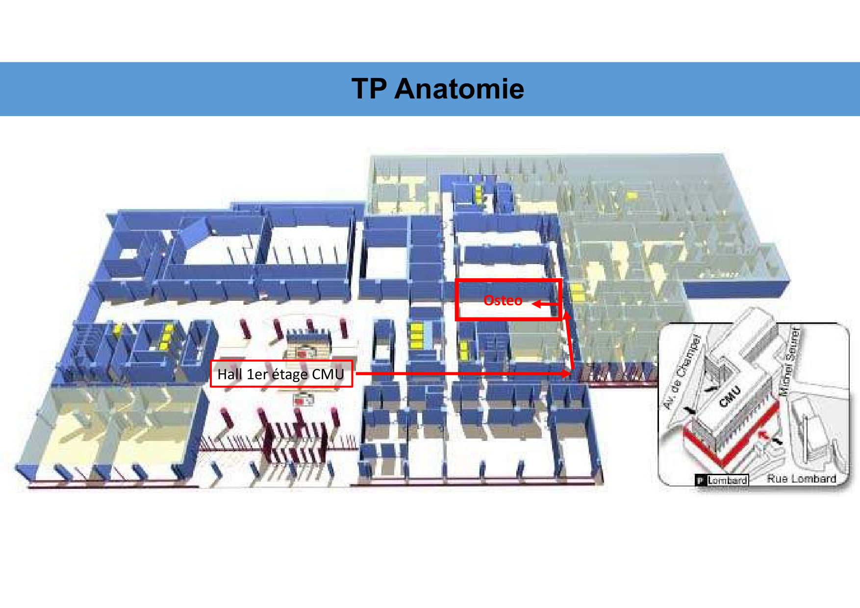 Anatomie de la tete 1 2025 2026 page 73