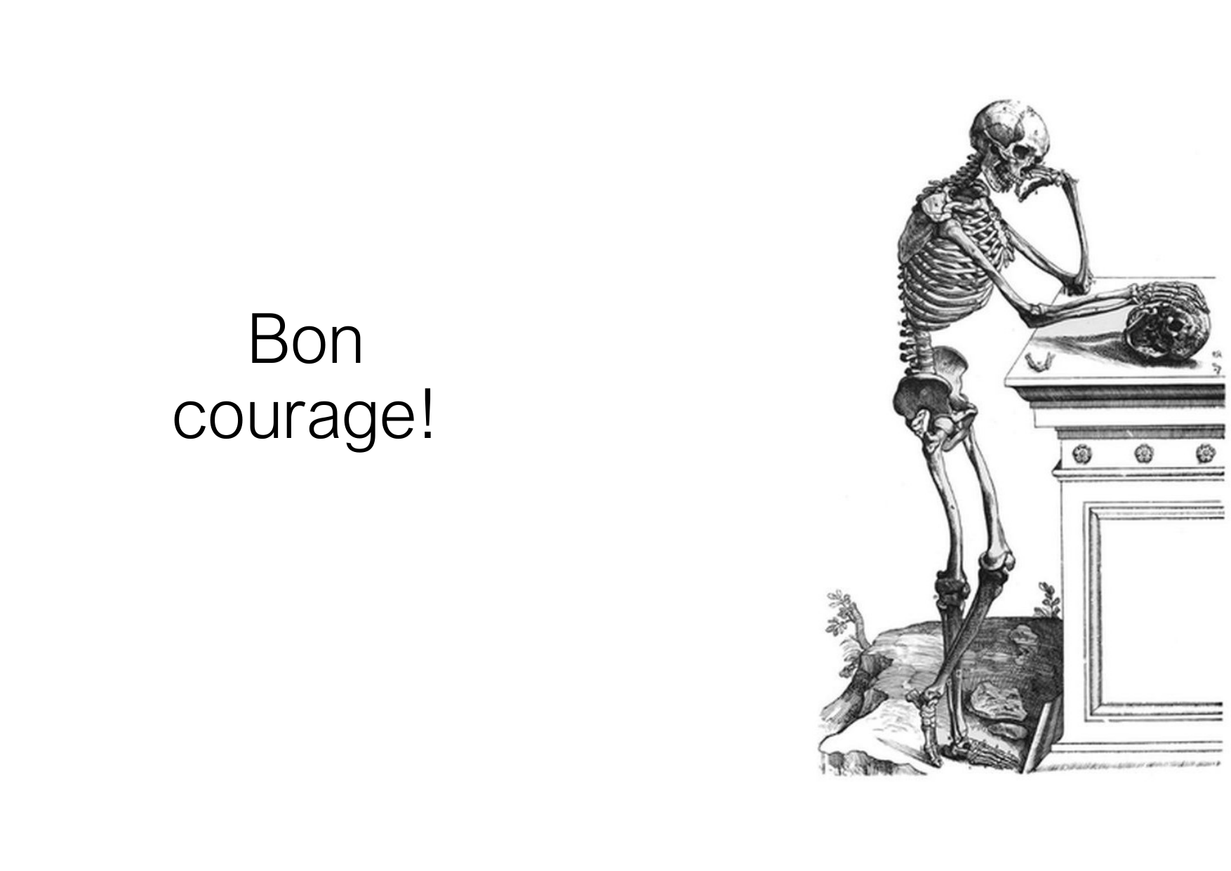 Anatomie de la tete 1 2025 2026 page 74