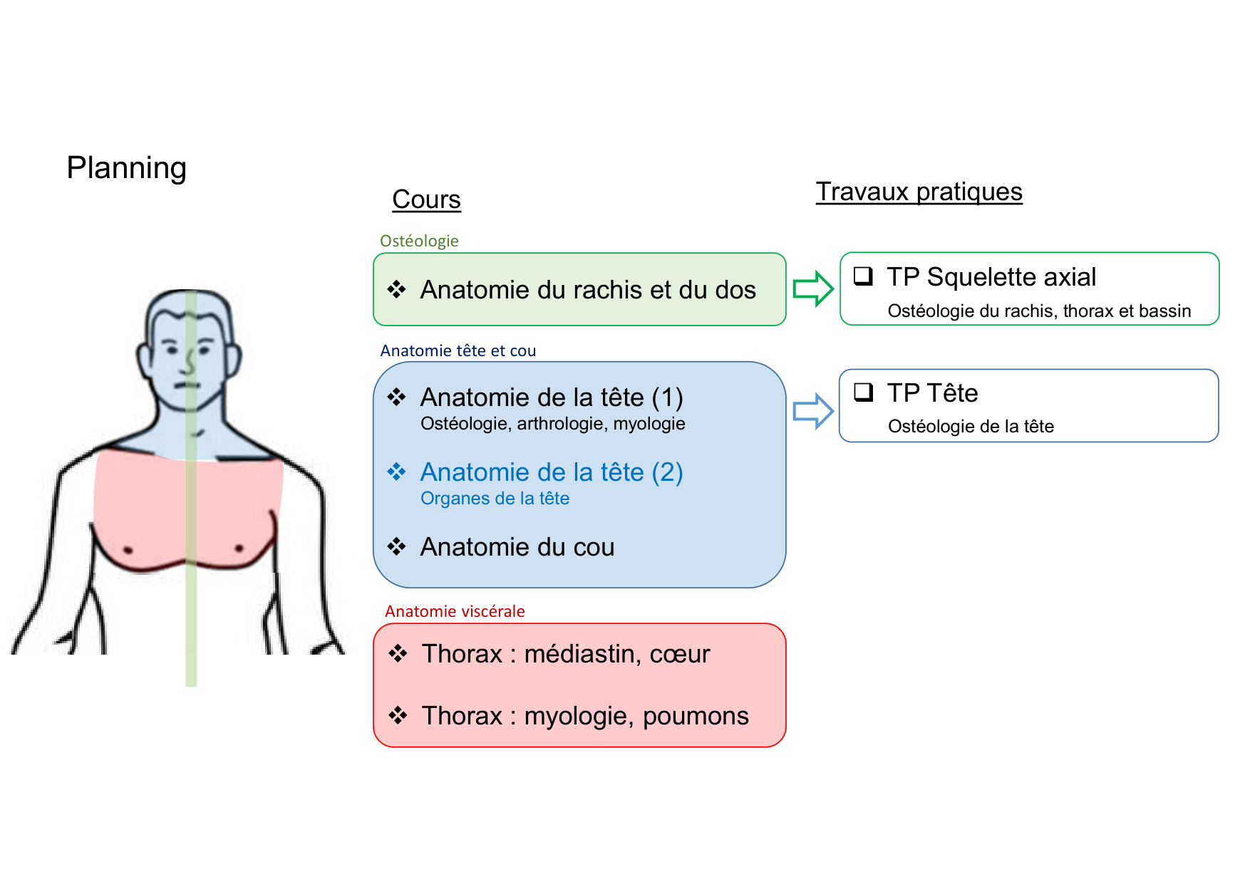 Anatomie de la tete 2 2025 2026 page 2