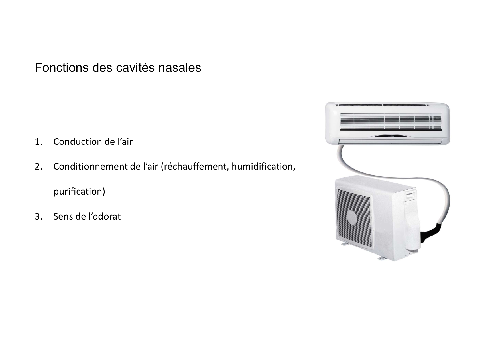 Anatomie de la tete 2 2025 2026 page 38