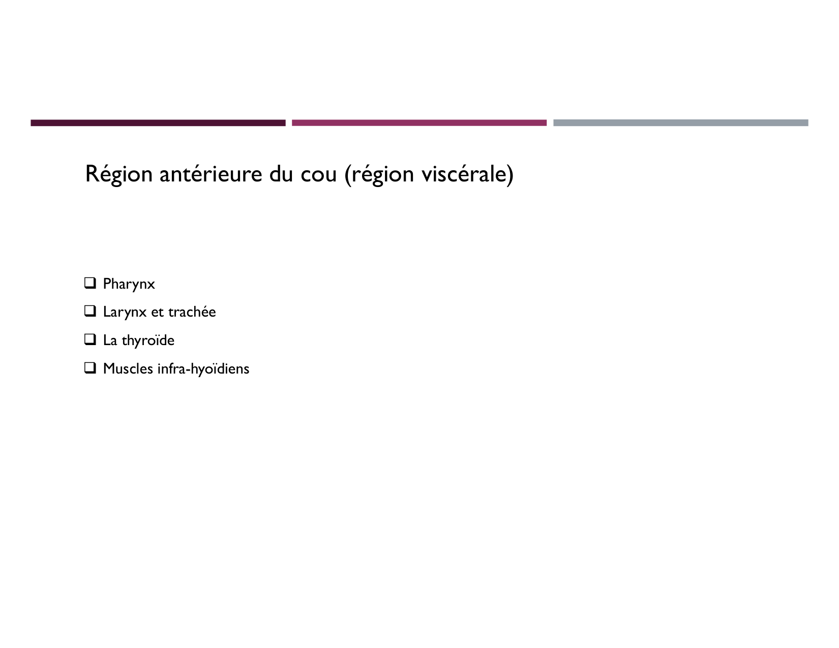 Anatomie du cou 2025 page 10