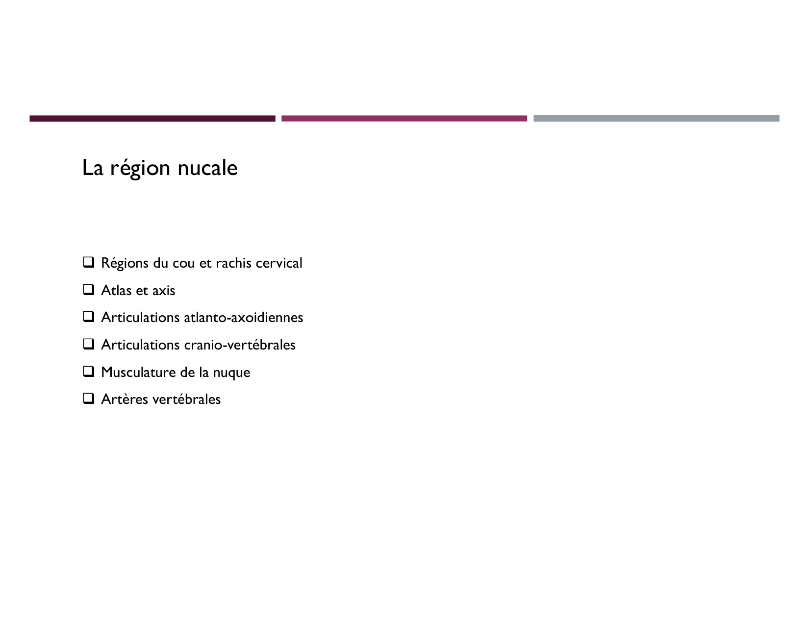 Anatomie du cou 2025 page 50
