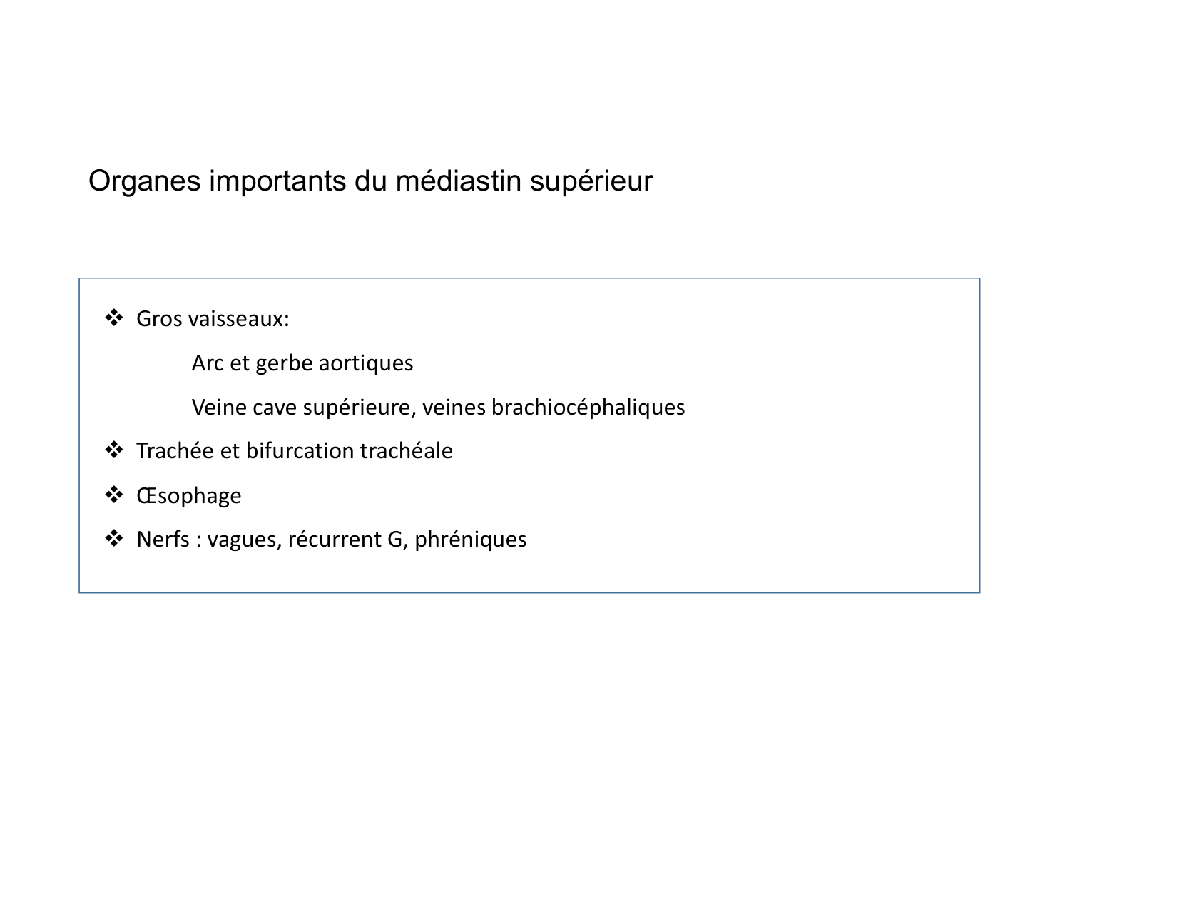 Anatomie du mediastin 2025 2026 page 62