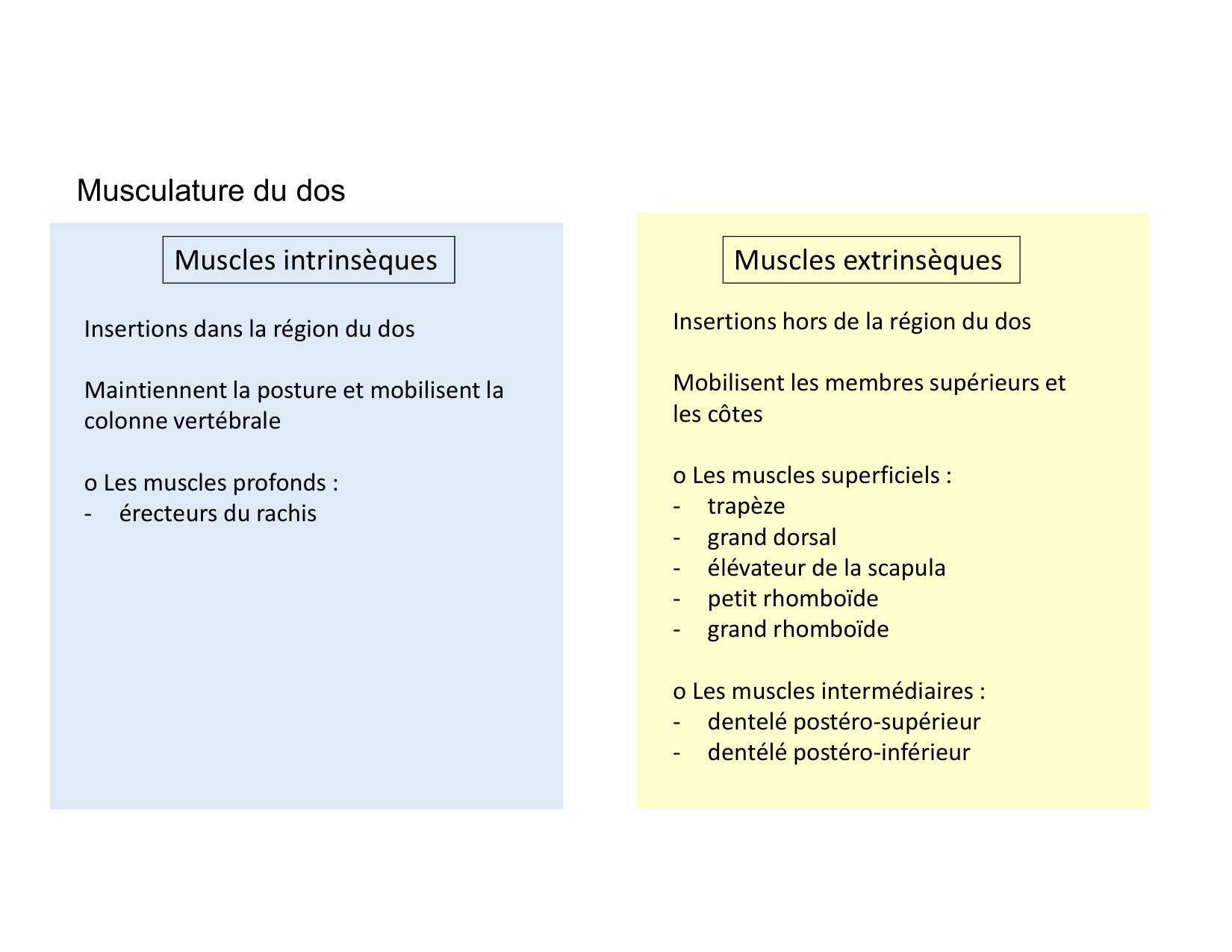 Anatomie du rachis et du dos 2025 page 56