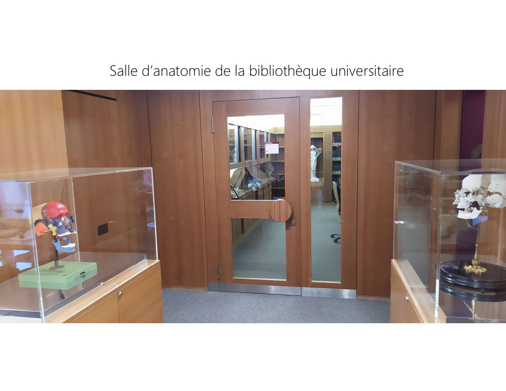 Anatomie du rachis et du dos 2025 page 60