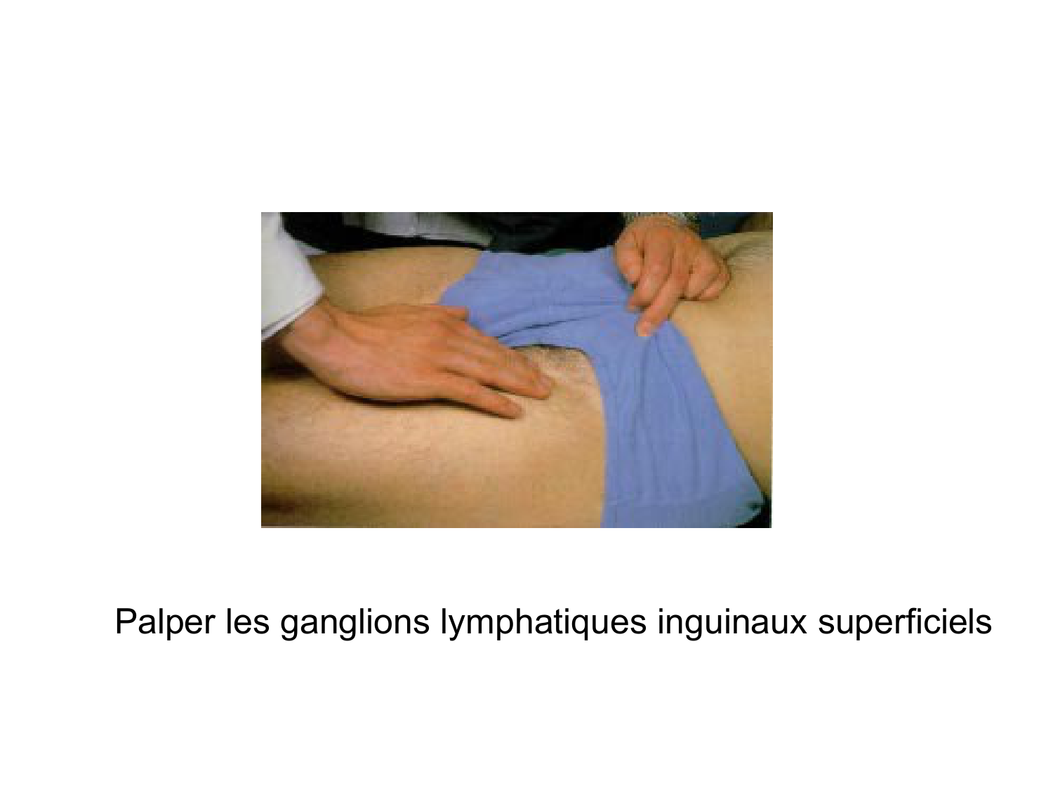 Anatomie du système de défense2 page 34