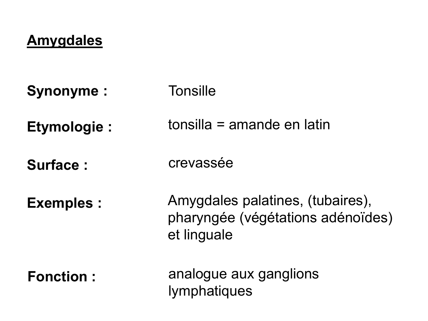 Anatomie du système de défense2 page 43