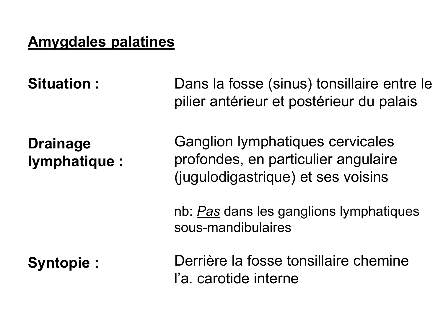 Anatomie du système de défense2 page 46