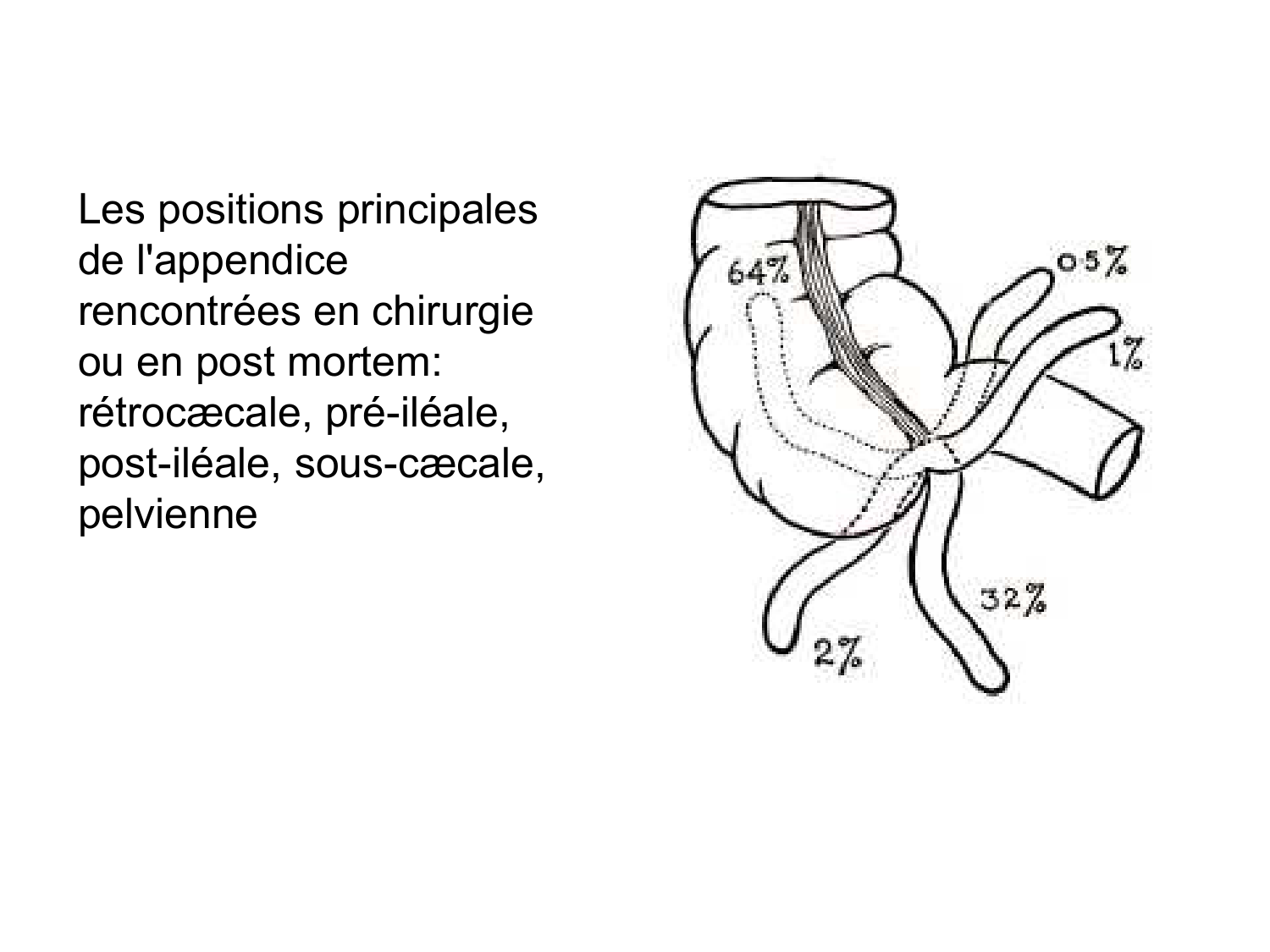 Anatomie du système de défense2 page 64