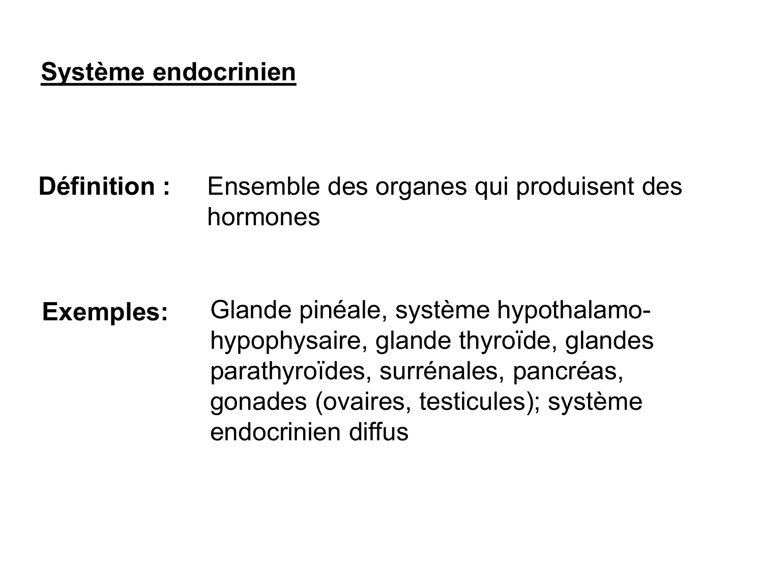 Anatomie du système endocrinien2 page 5