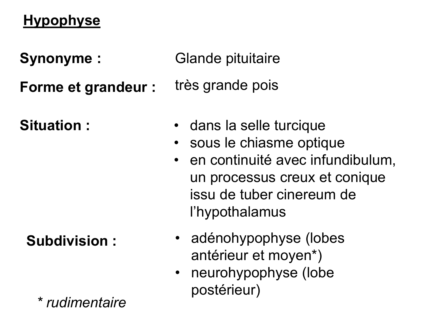 Anatomie du système endocrinien2 page 12