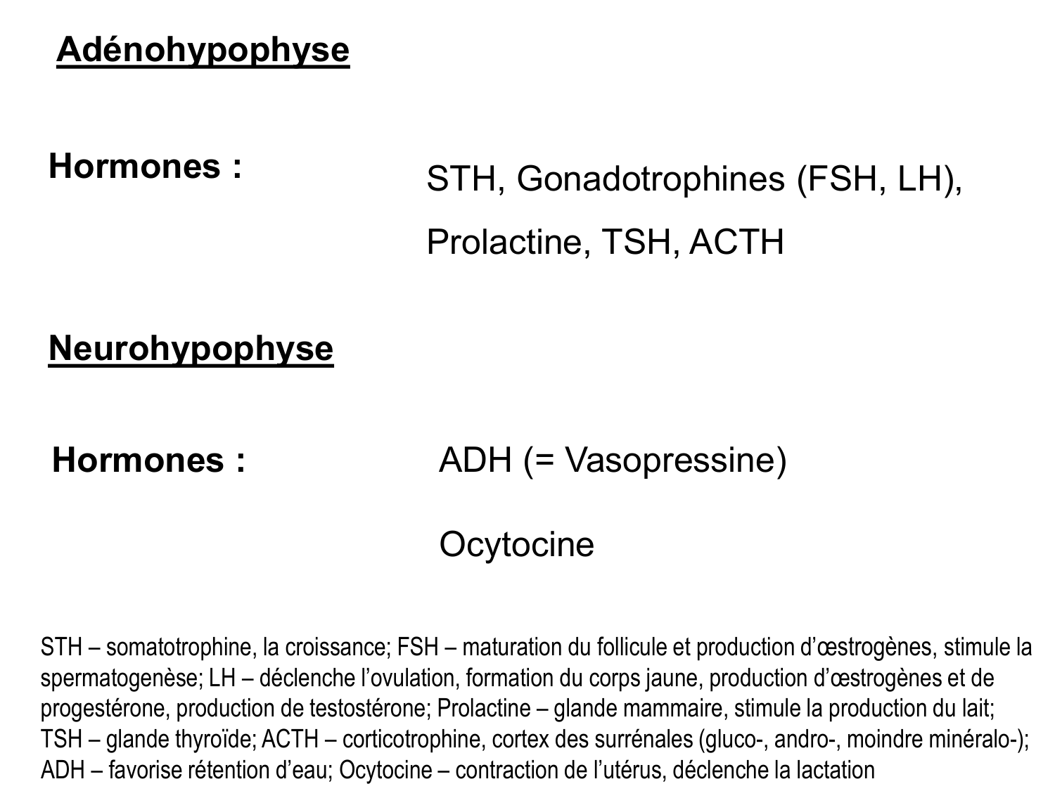 Anatomie du système endocrinien2 page 18