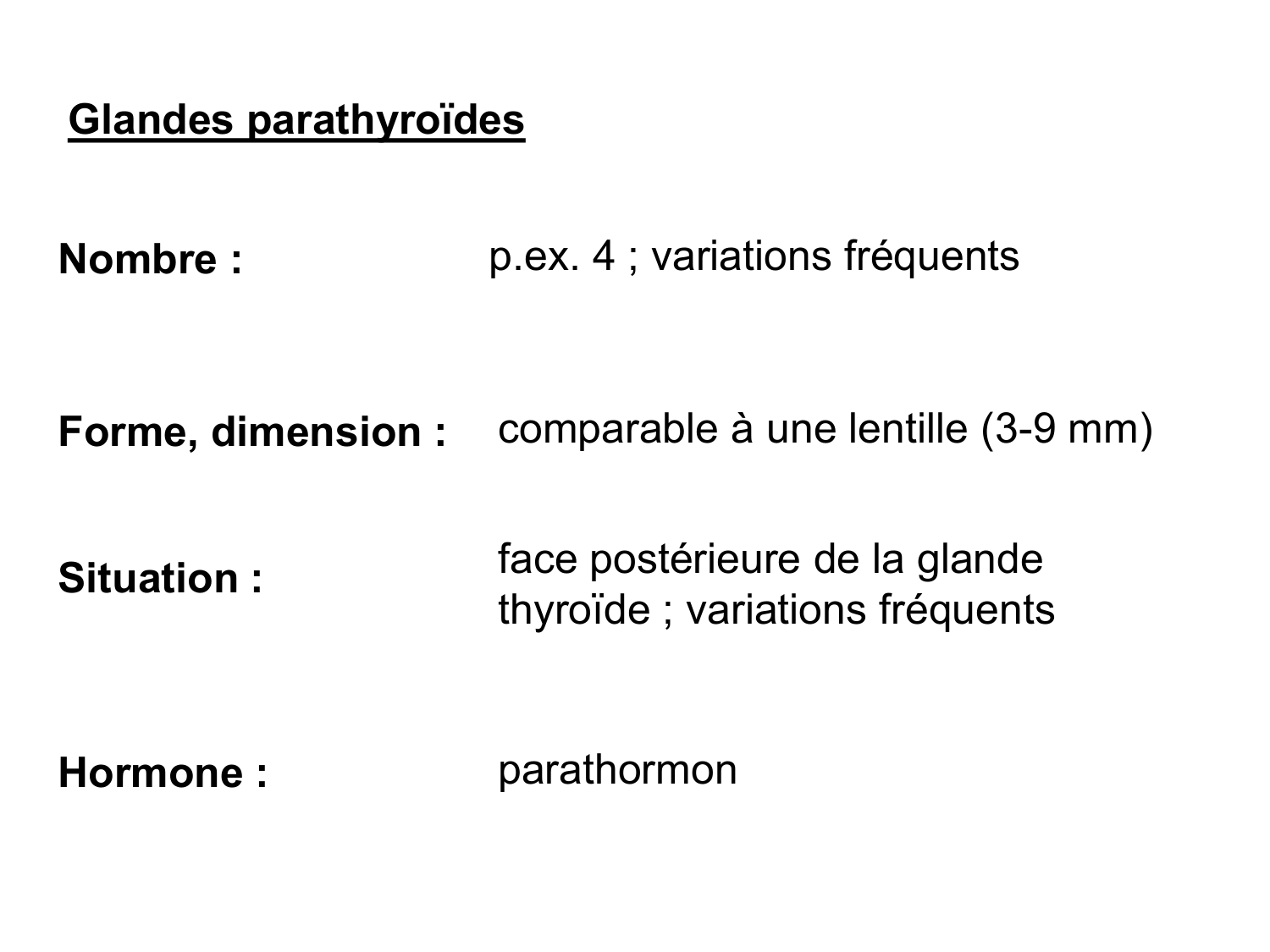 Anatomie du système endocrinien2 page 39
