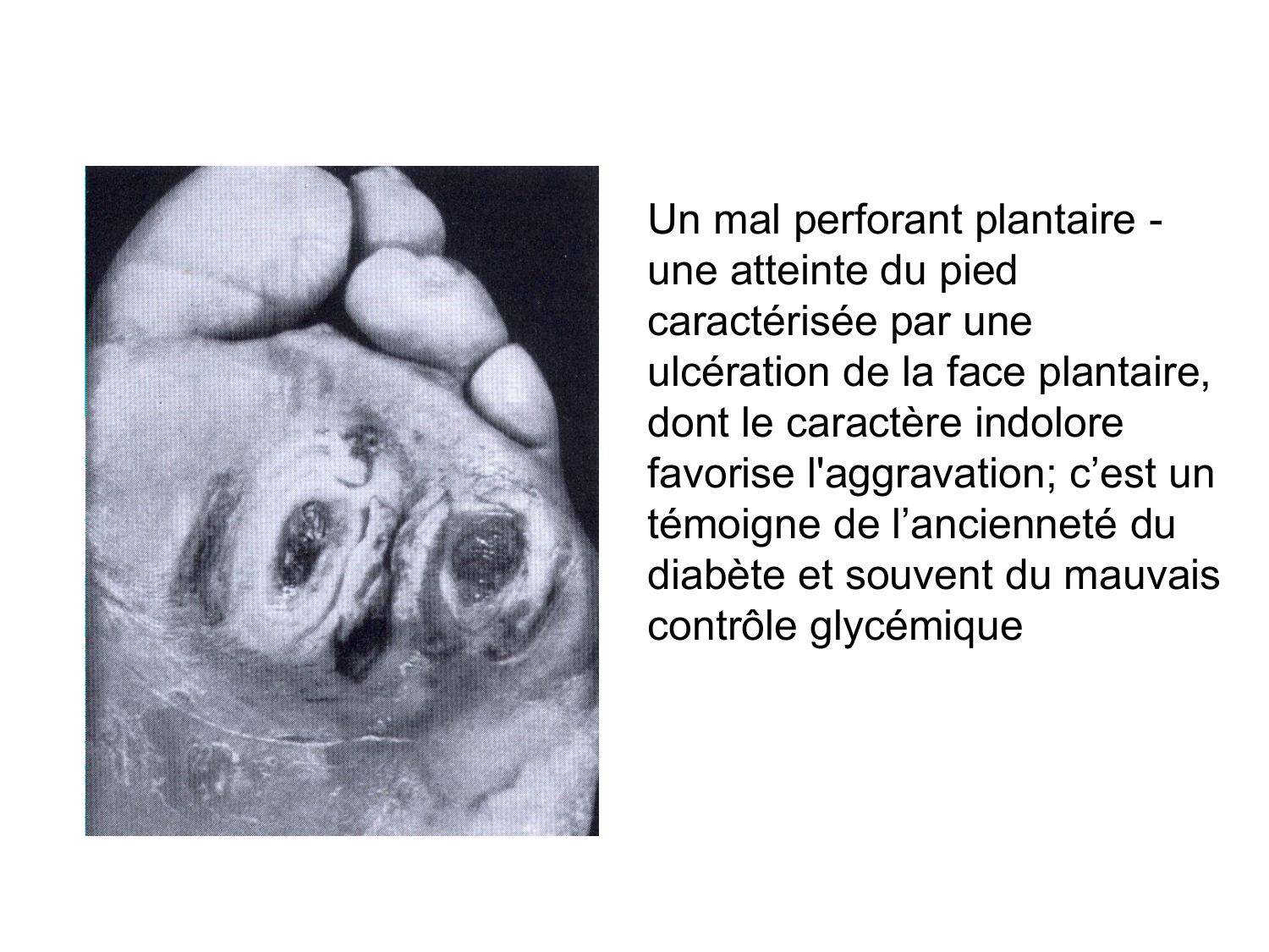 Anatomie du système endocrinien2 page 67
