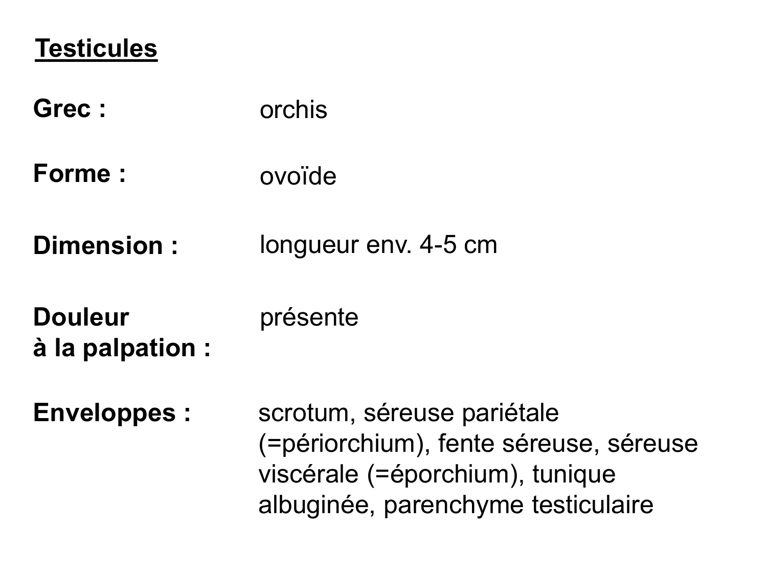 Anatomie du système endocrinien2 page 69