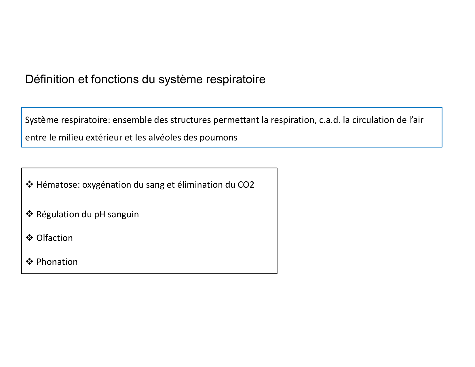 Anatomie pulmonaire 2025 2026 page 5