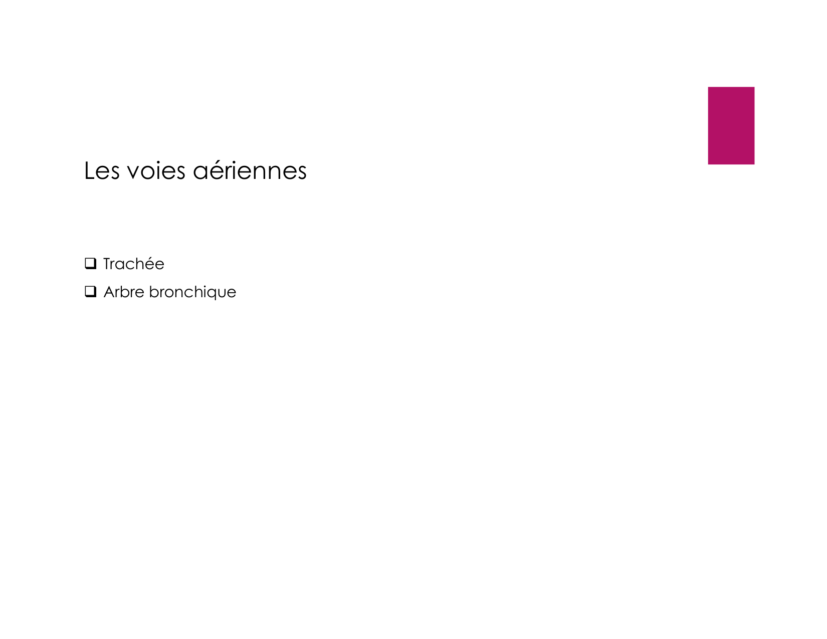 Anatomie pulmonaire 2025 2026 page 7