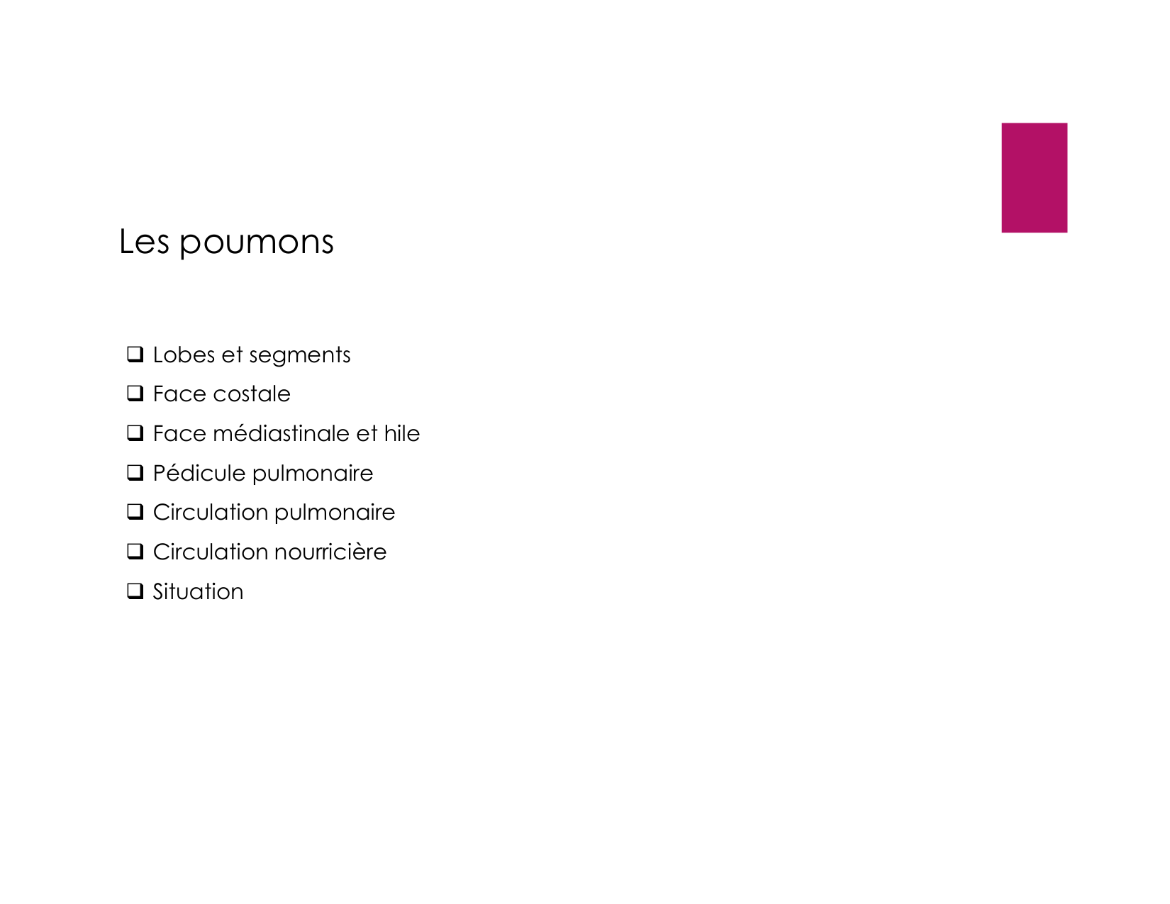 Anatomie pulmonaire 2025 2026 page 17