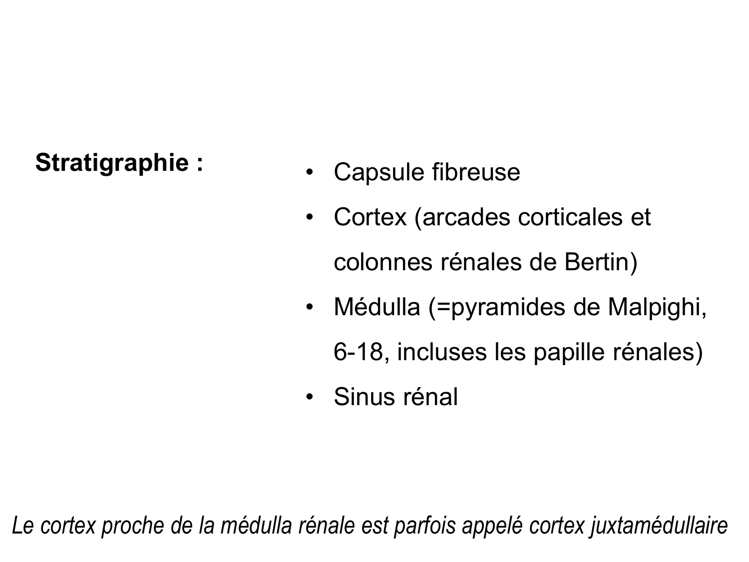 Rein, voies urinaires et retropéritoine page 22