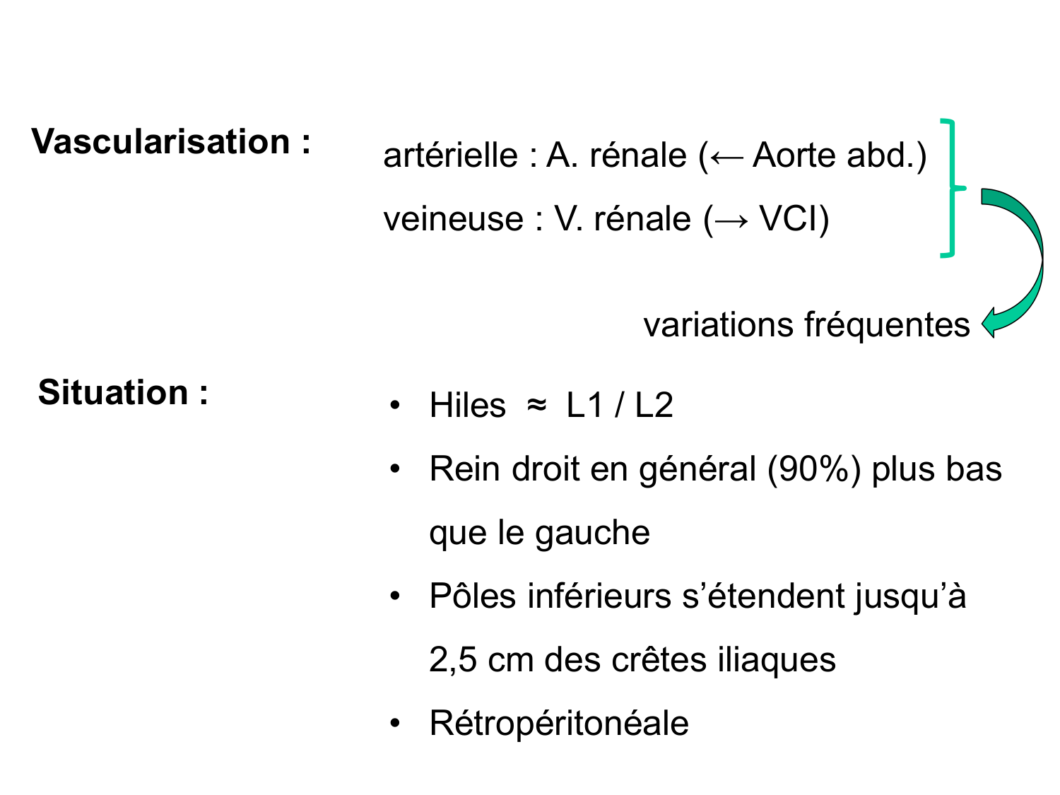 Rein, voies urinaires et retropéritoine page 27