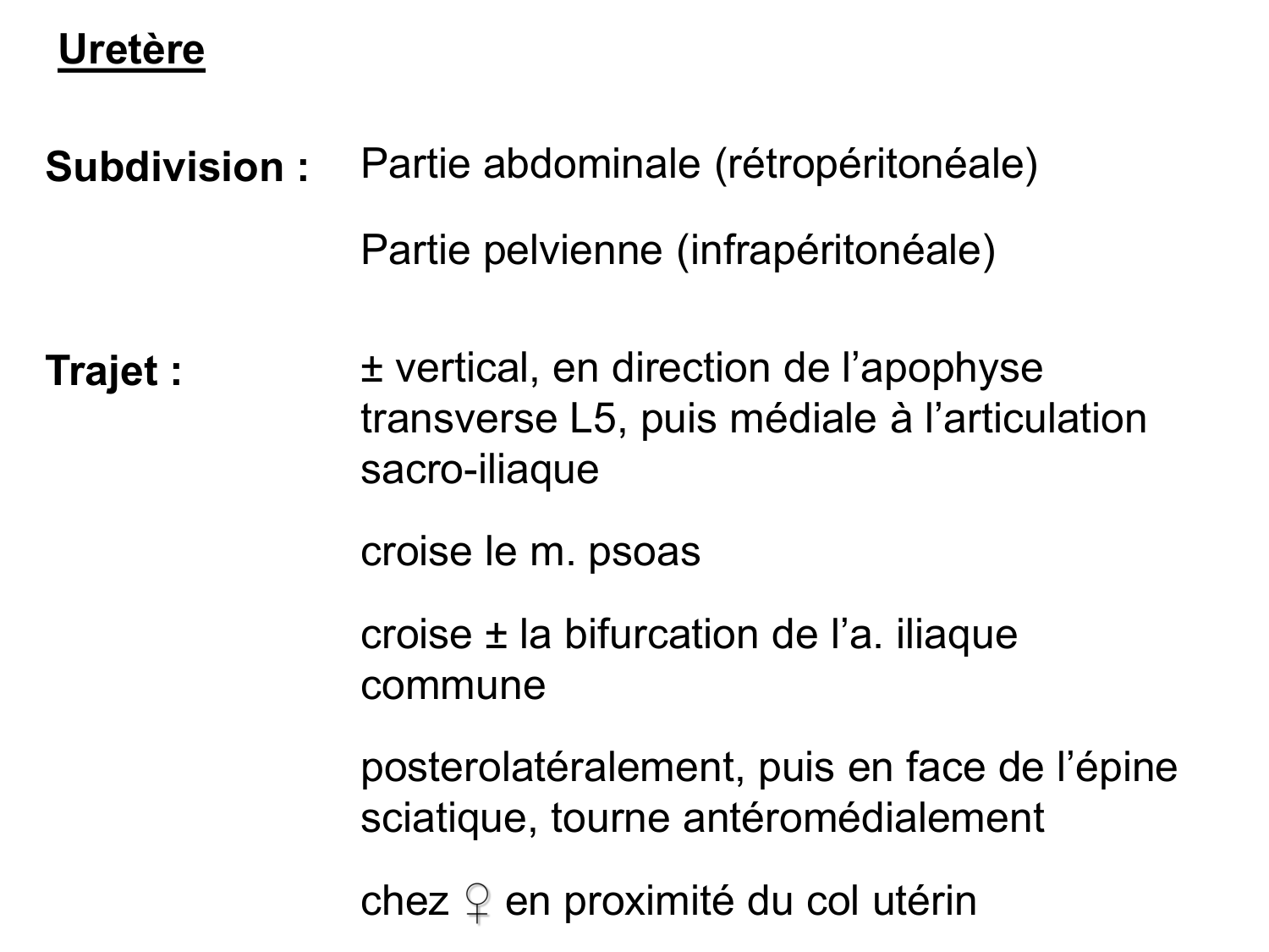 Rein, voies urinaires et retropéritoine page 45