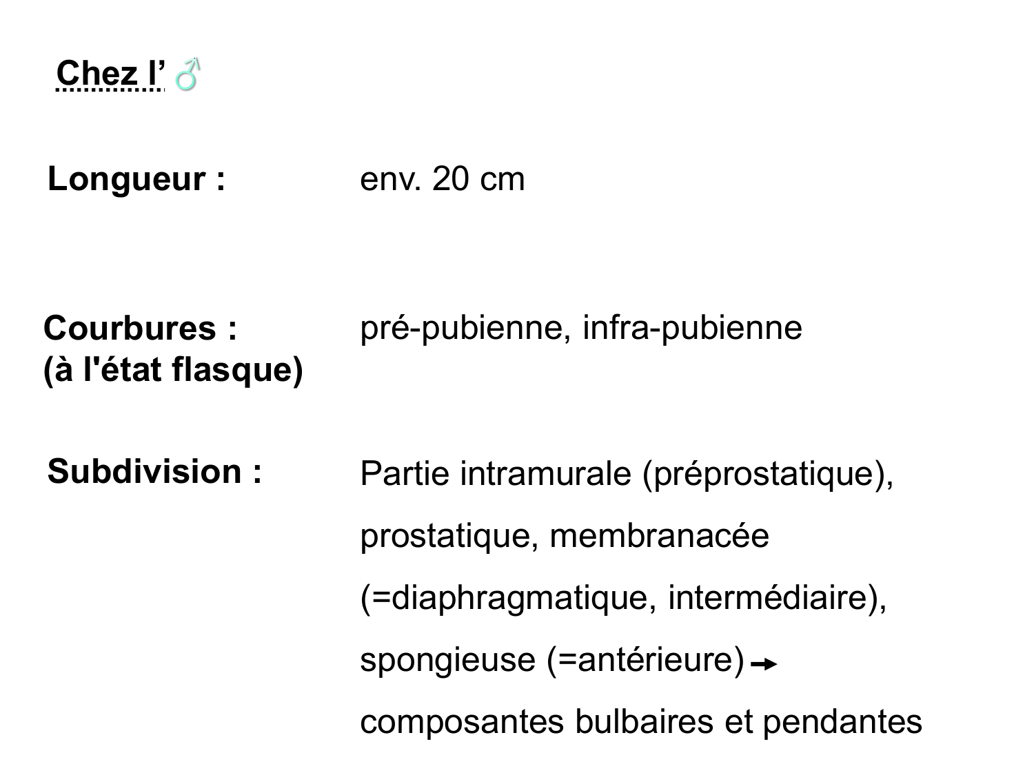 Rein, voies urinaires et retropéritoine page 78