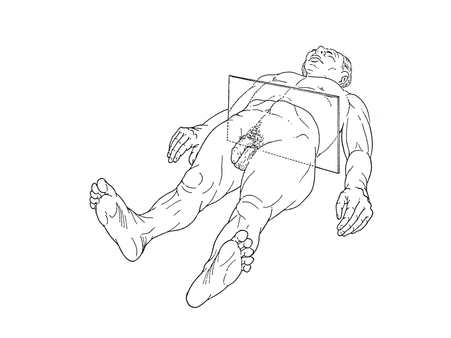 Splanchnologie generale; Pelvis-Perinée système reproducteur (homme et femme)1 page 15